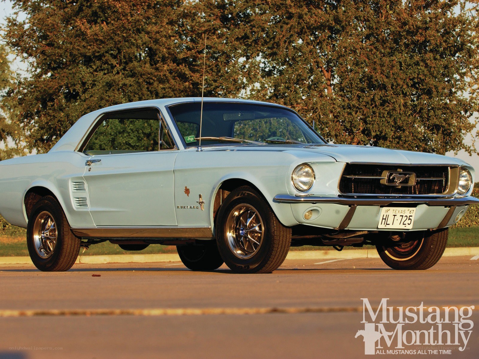 Classic light blue Mustang