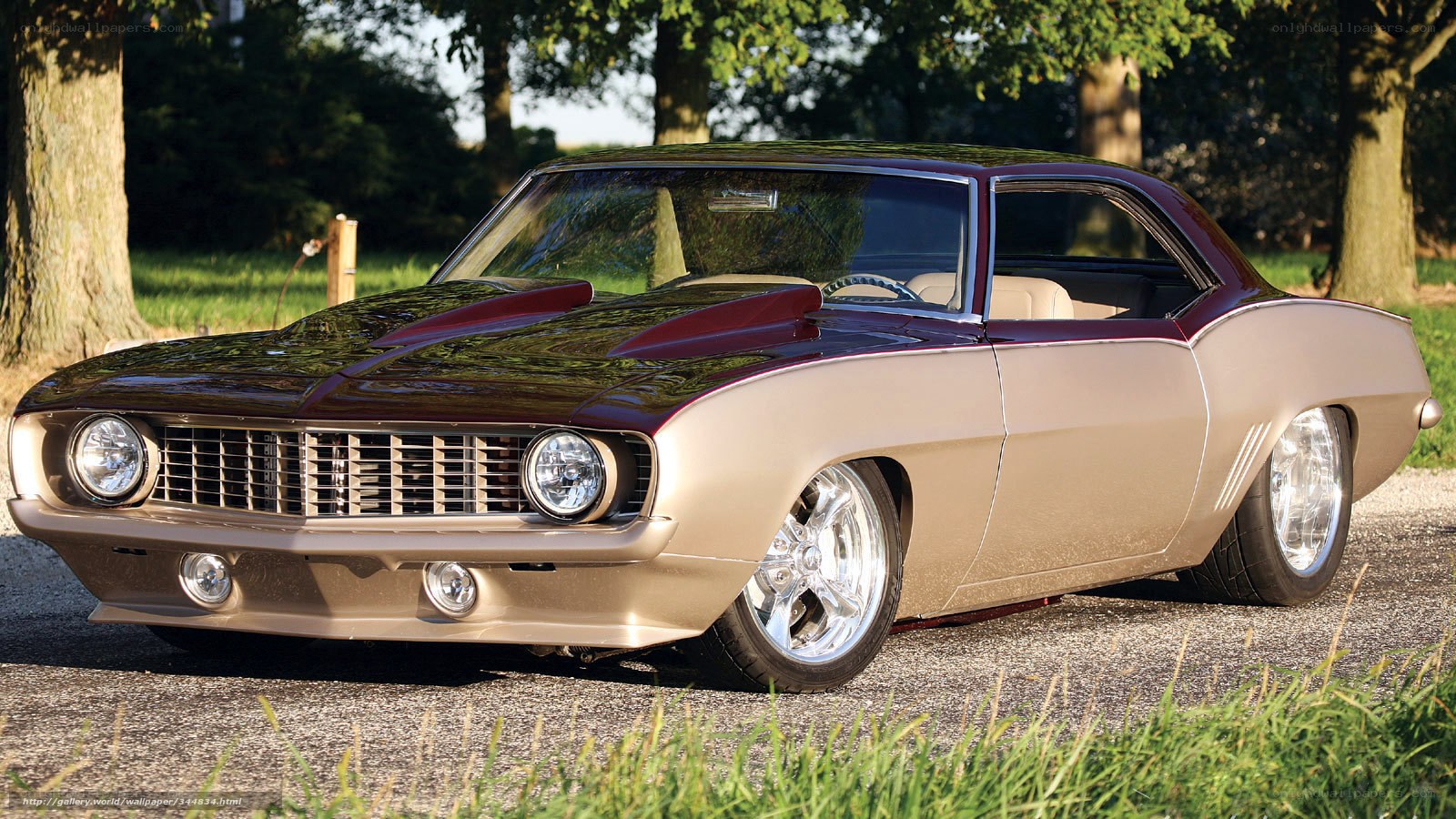 classic muscle car in park