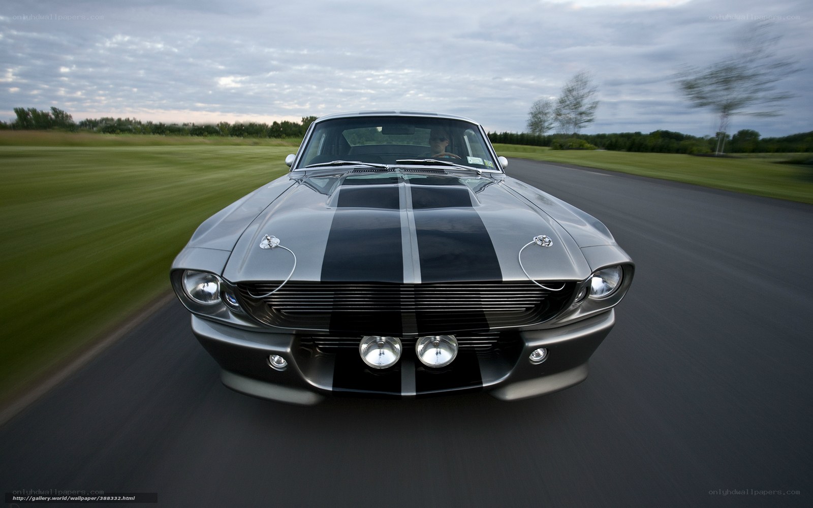 Classic muscle car on a road