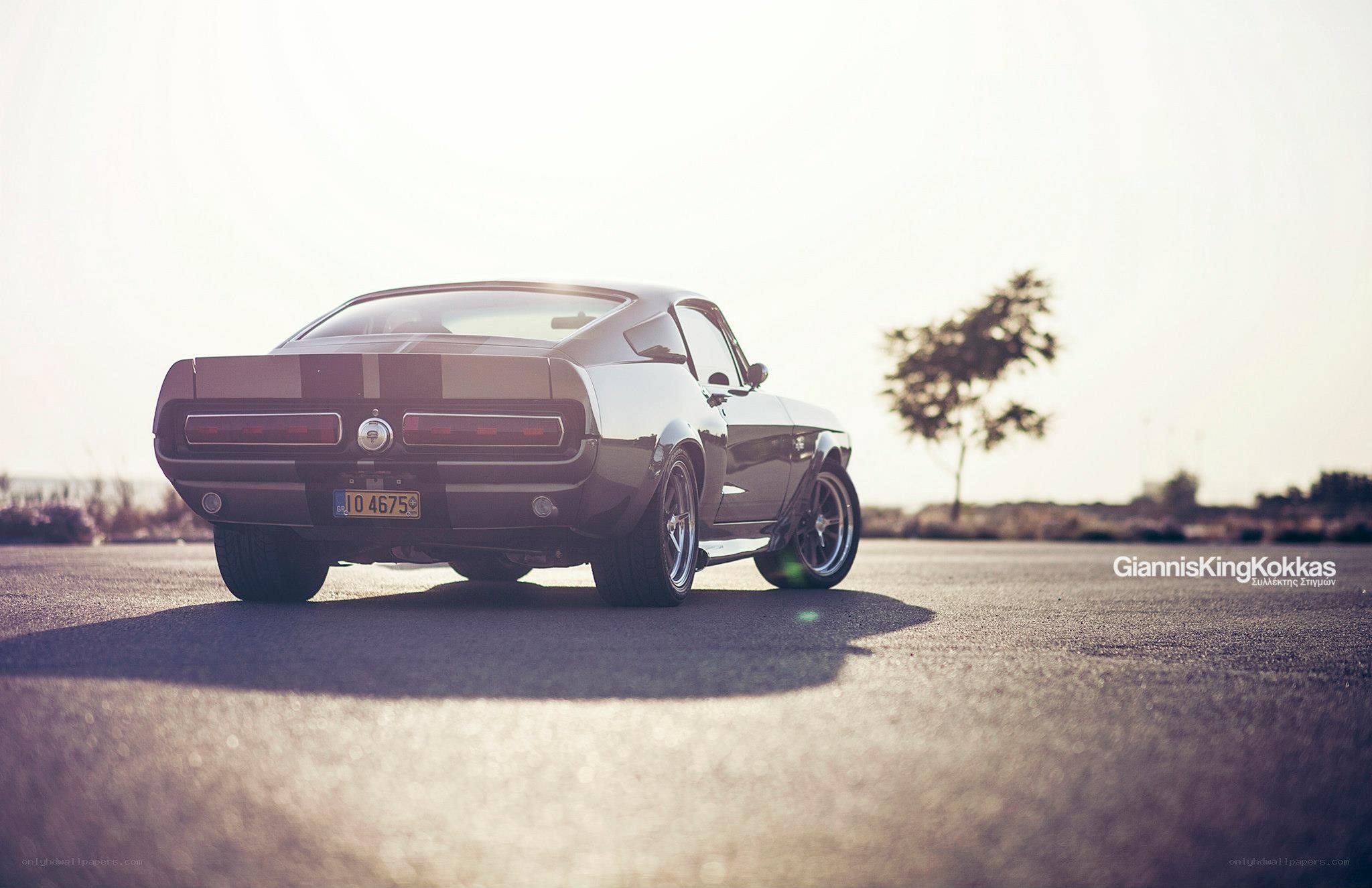 classic muscle car on asphalt