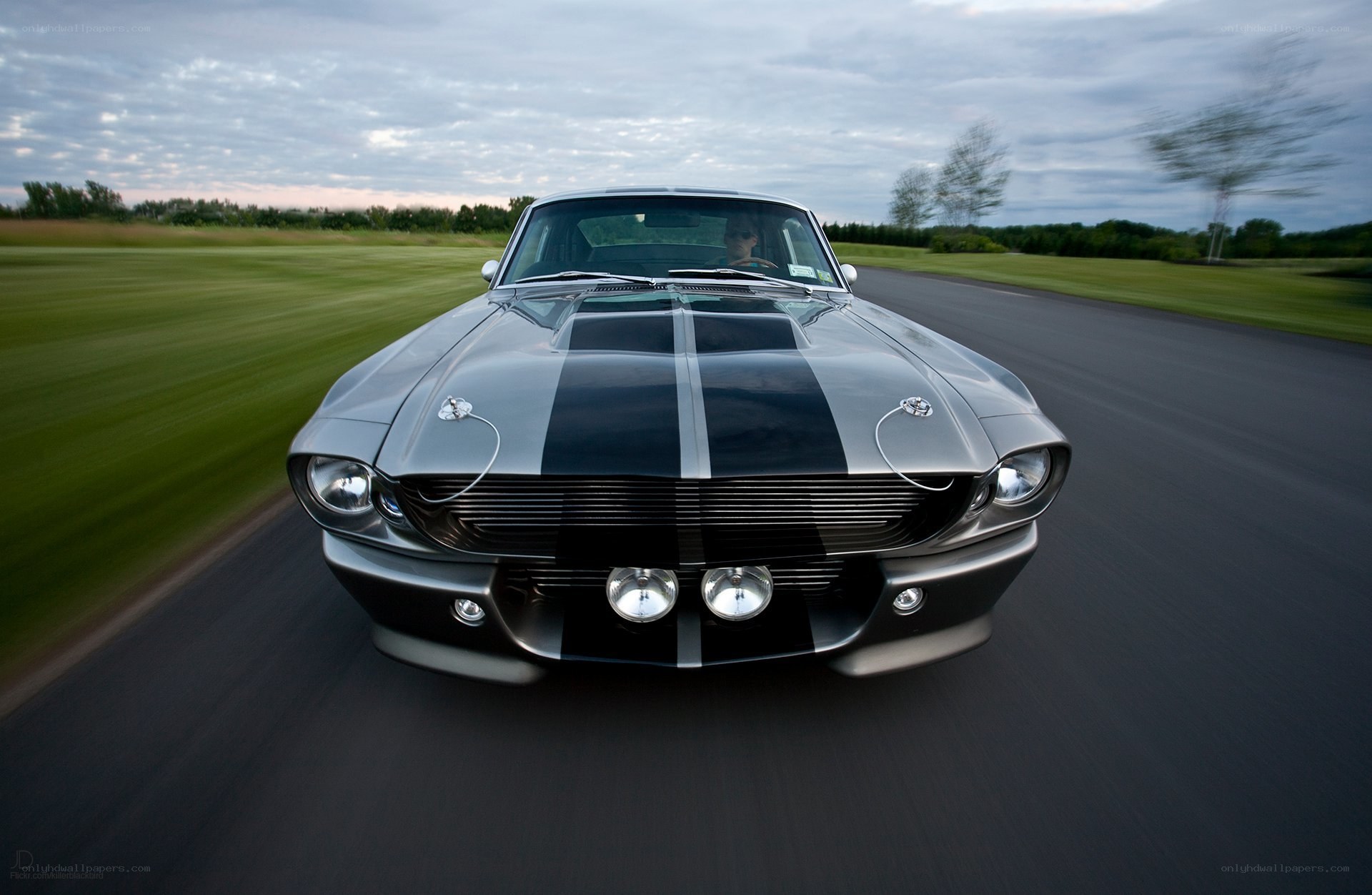 classic muscle car on road