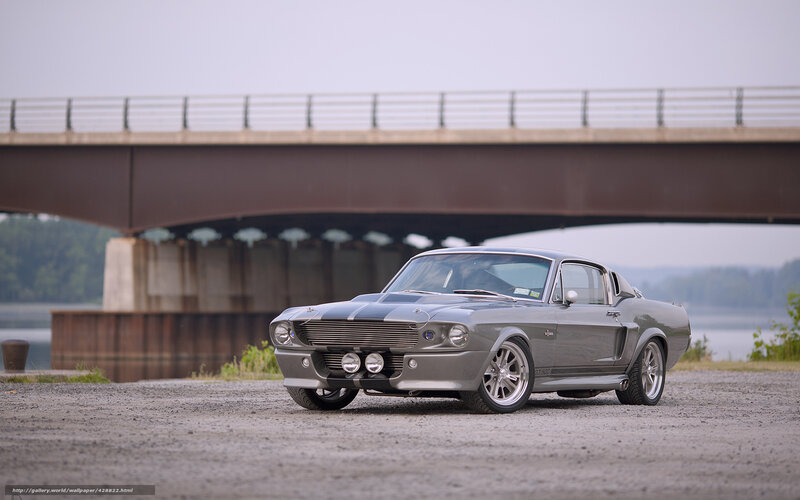 Classic muscle car under a bridge