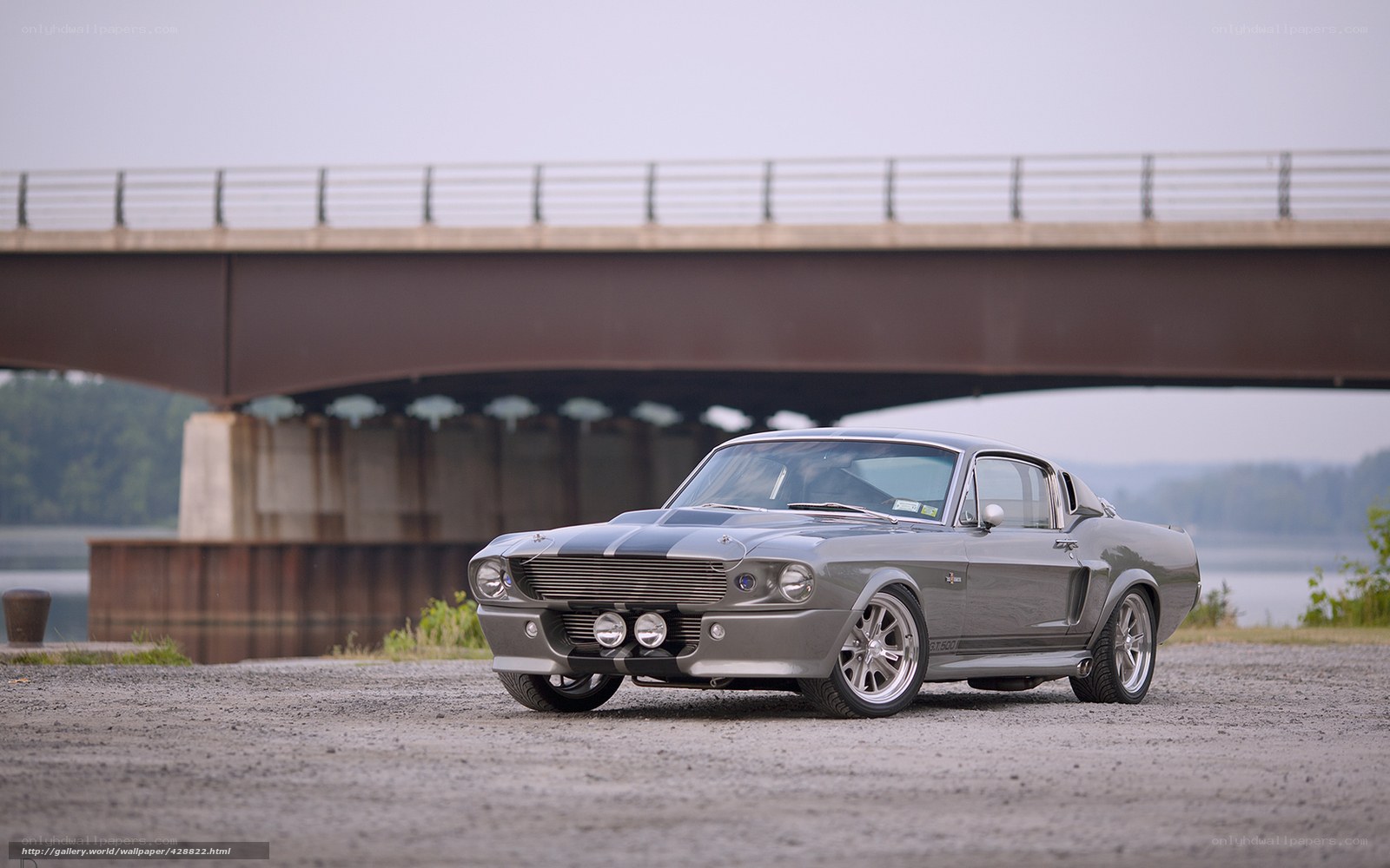 Classic muscle car under a bridge