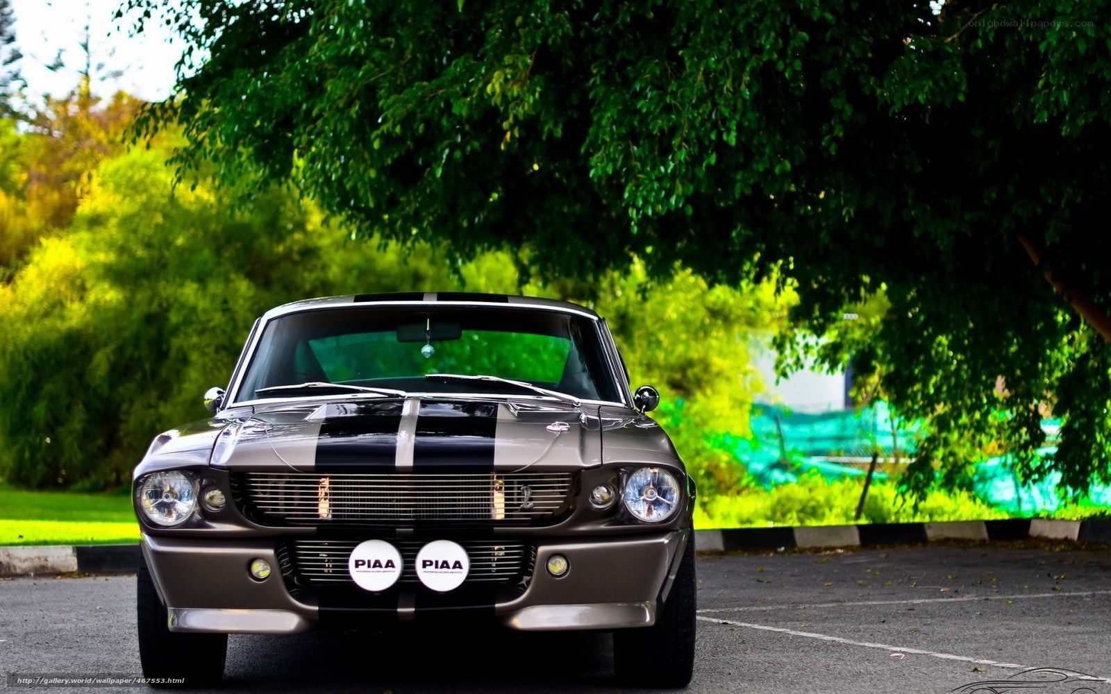 Classic muscle car under trees
