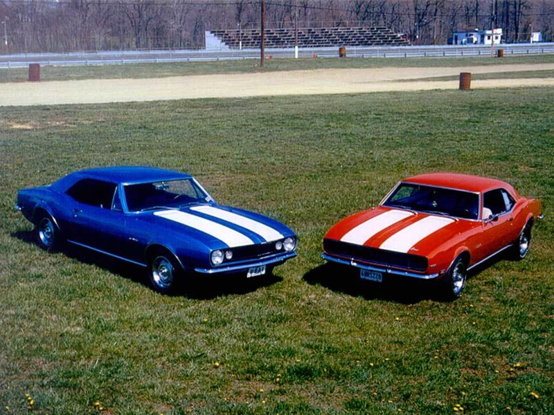 Classic muscle cars on grass