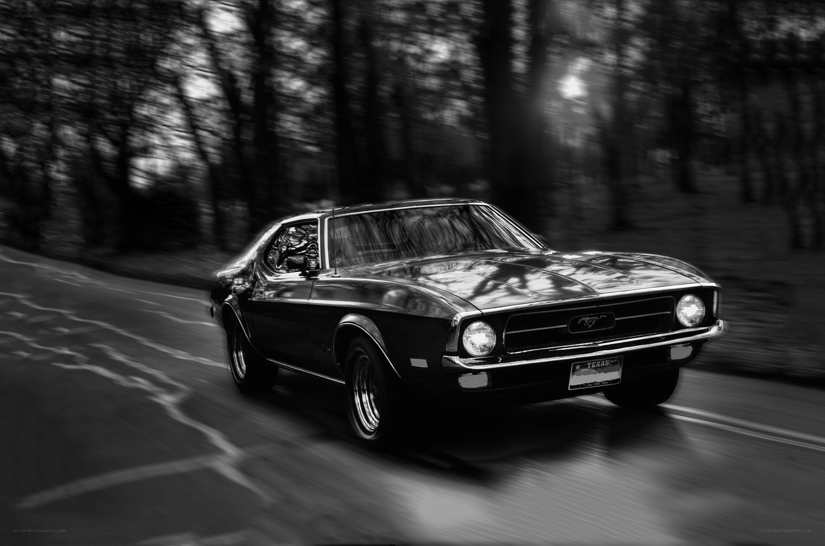 Classic Mustang on a forest road