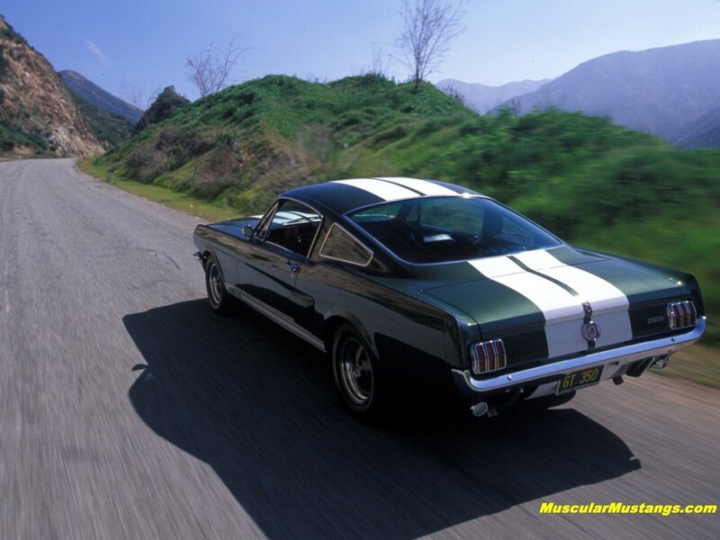Classic Mustang on a winding road