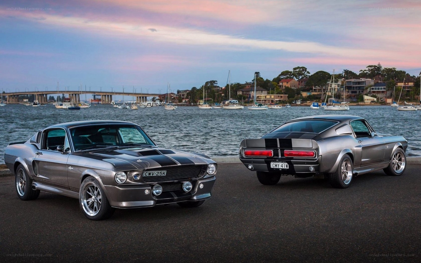Classic Mustangs by the Water