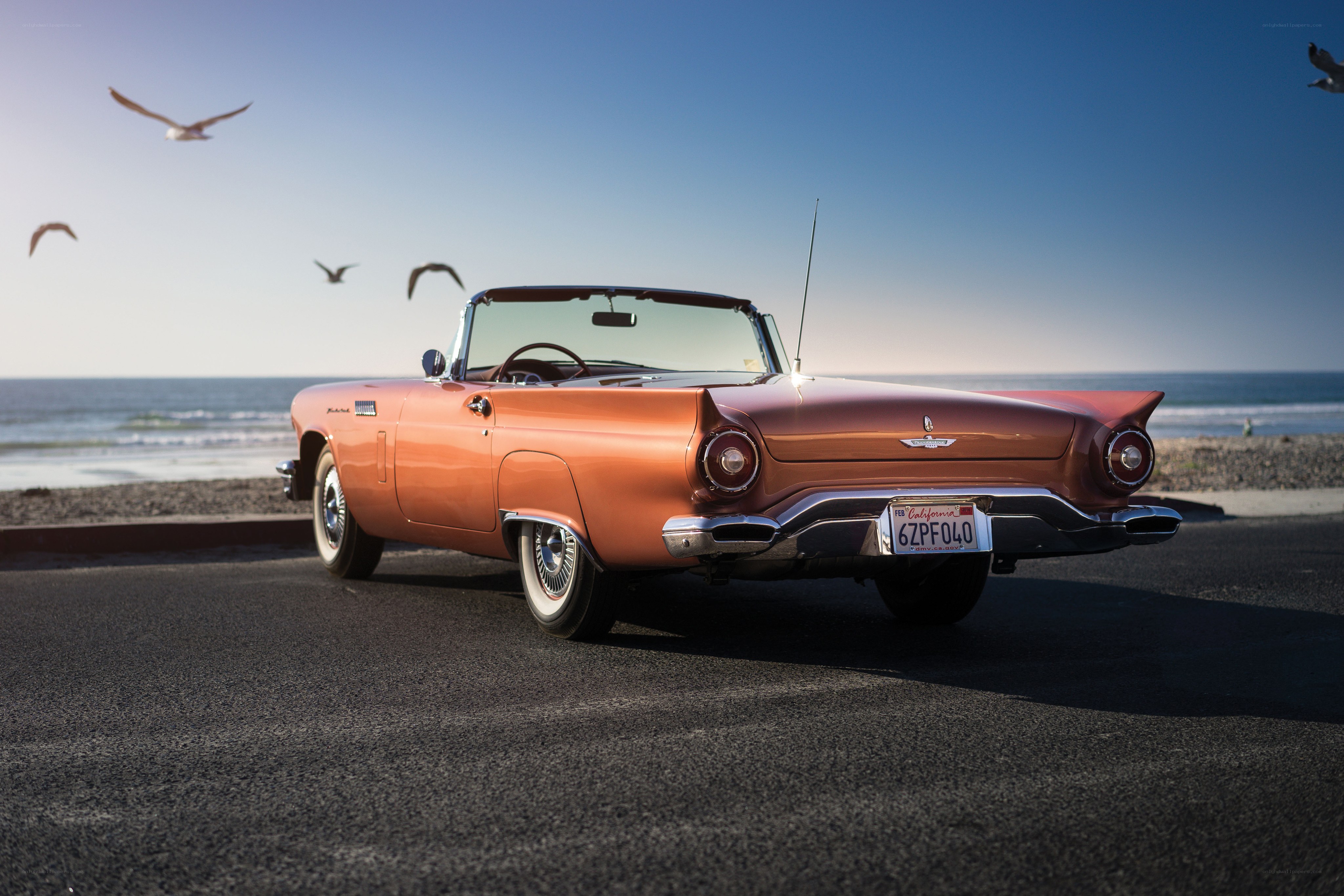 Classic orange convertible by the beach