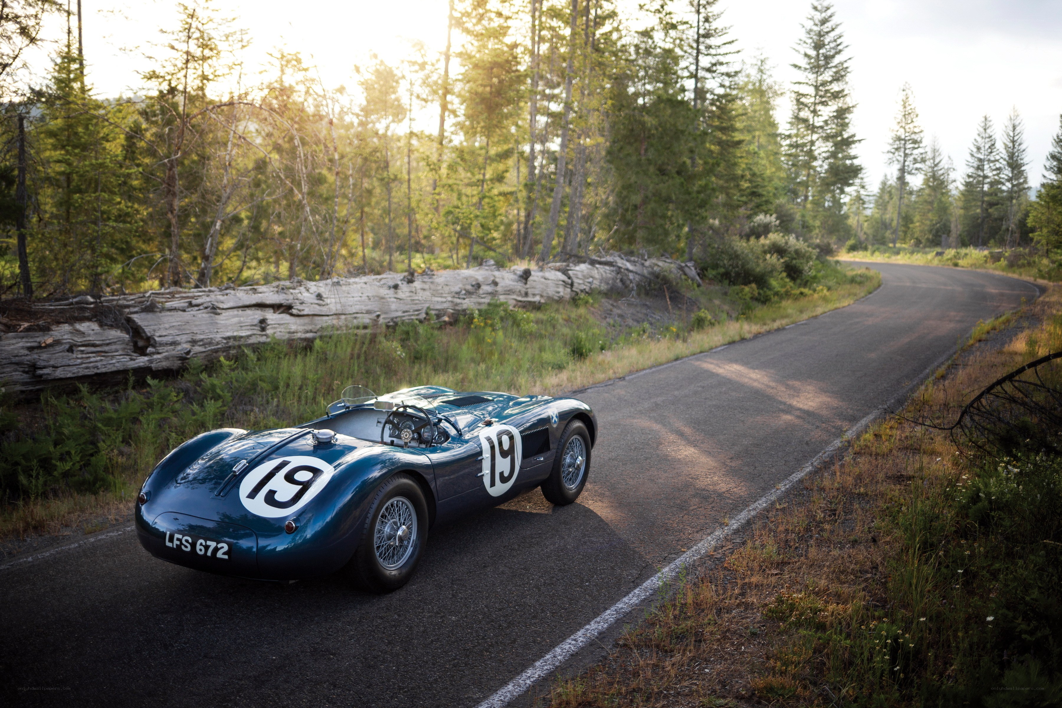 Classic race car on forest road
