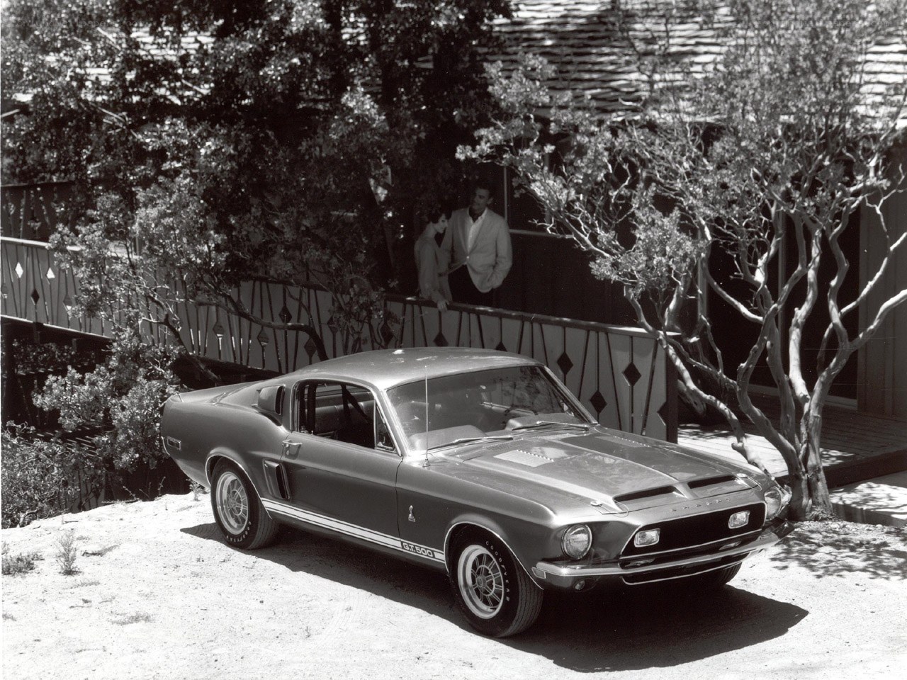Classic Shelby GT500 car