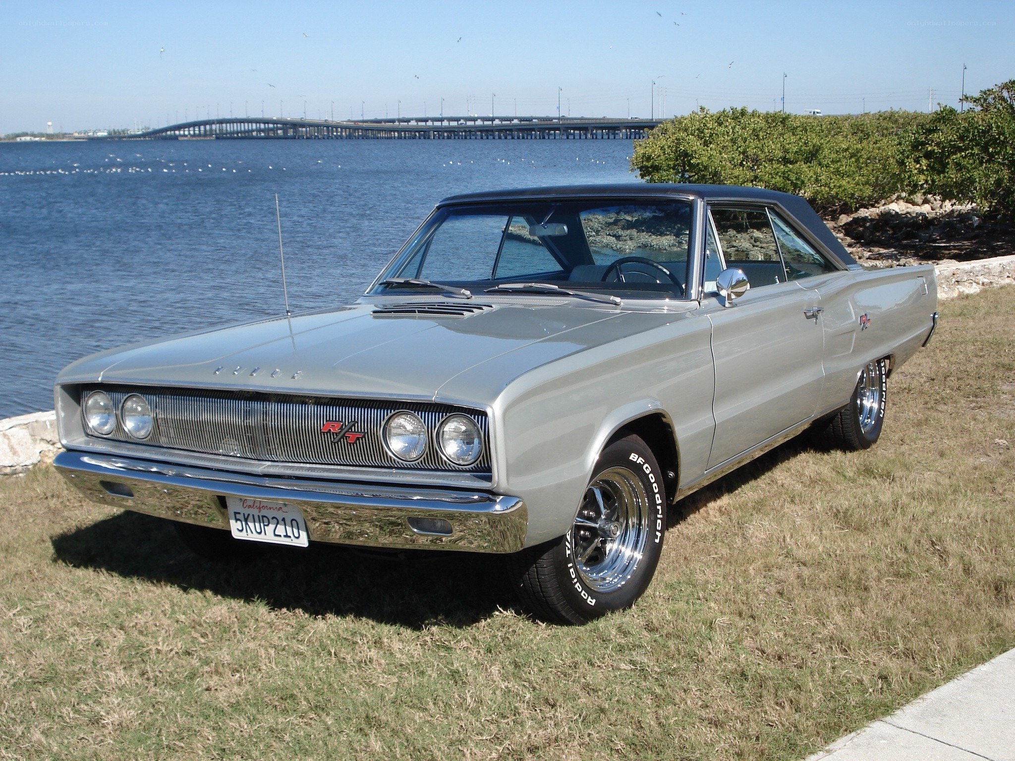 Classic silver convertible by the water