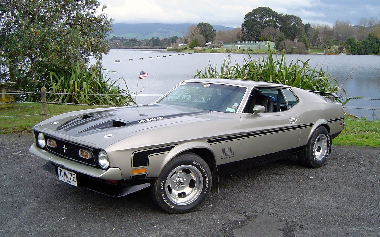 Classic silver Ford Mustang