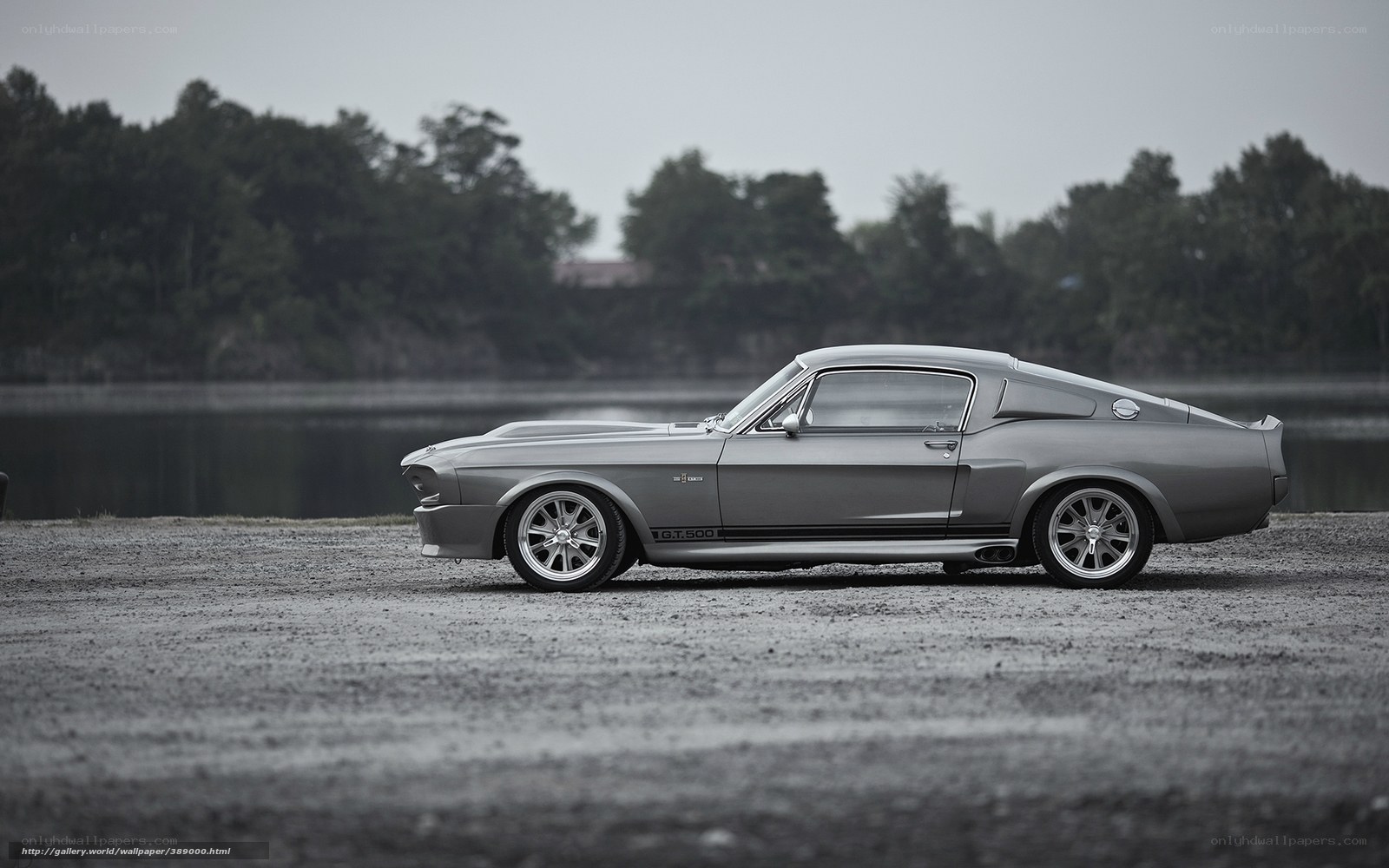 Classic silver muscle car by lake