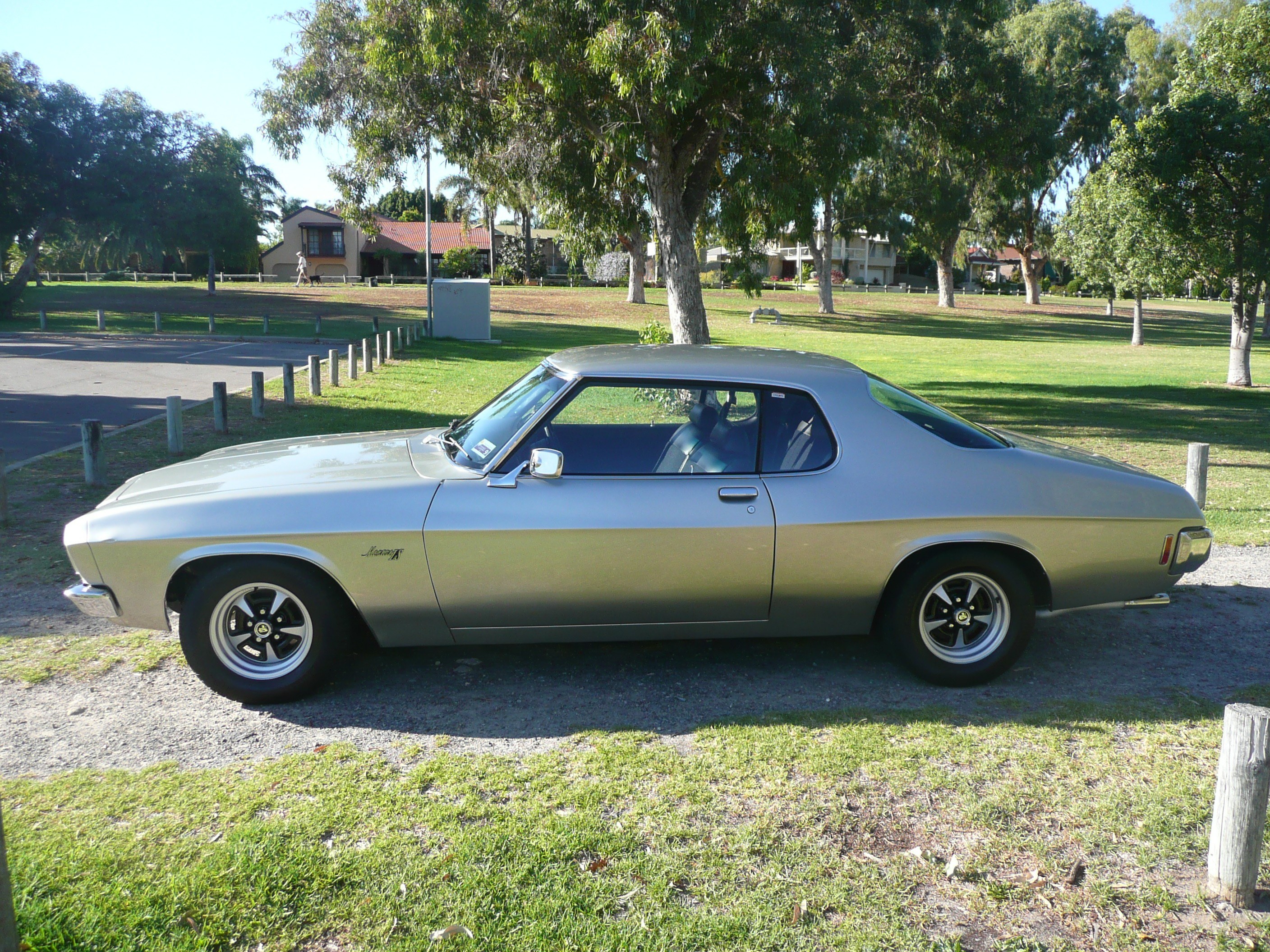 Classic silver muscle car in park