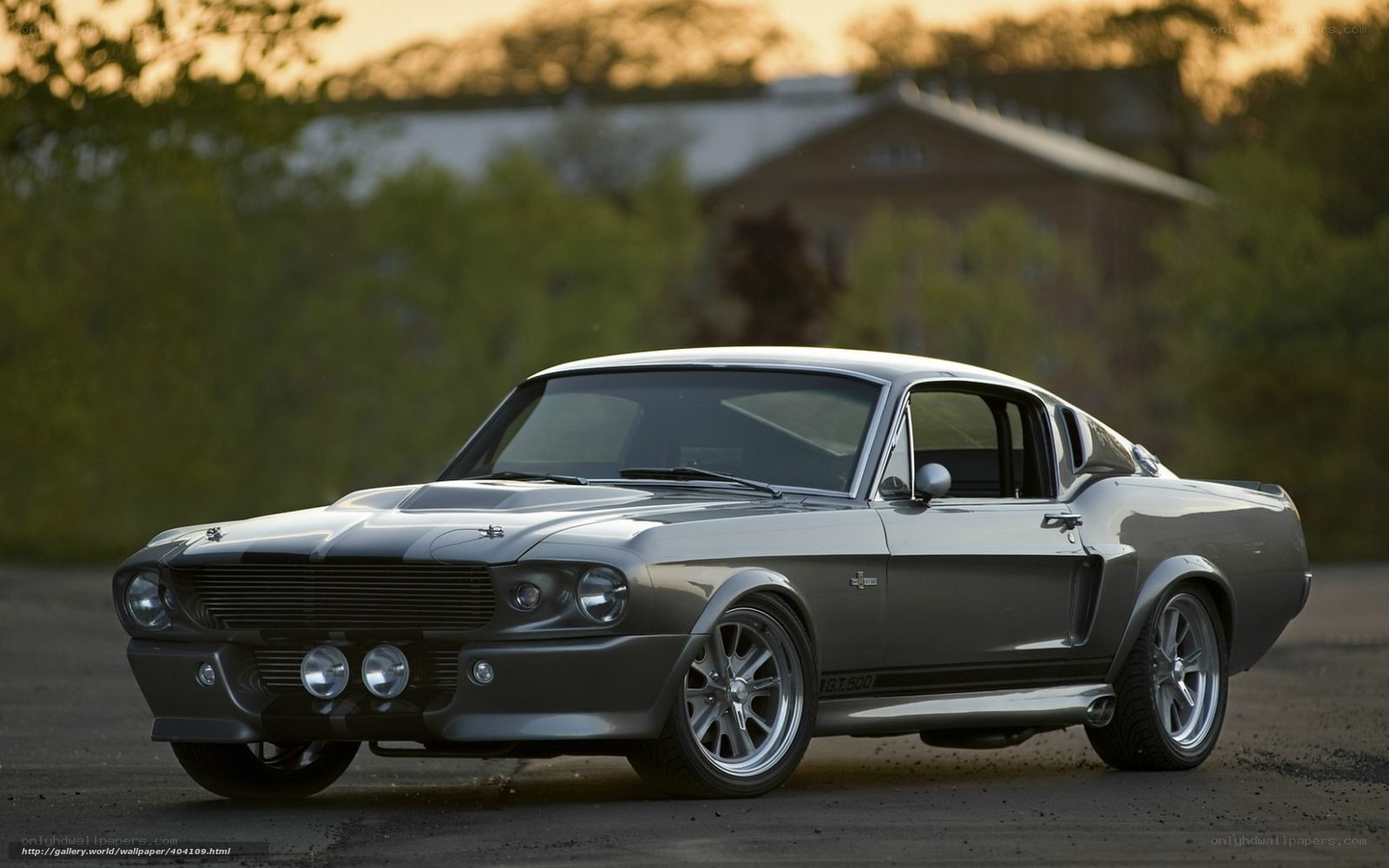 Classic silver muscle car