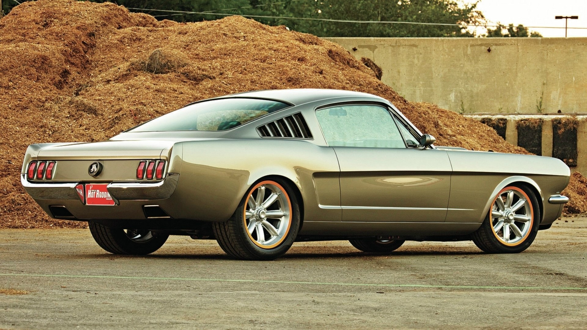 Classic silver Mustang car