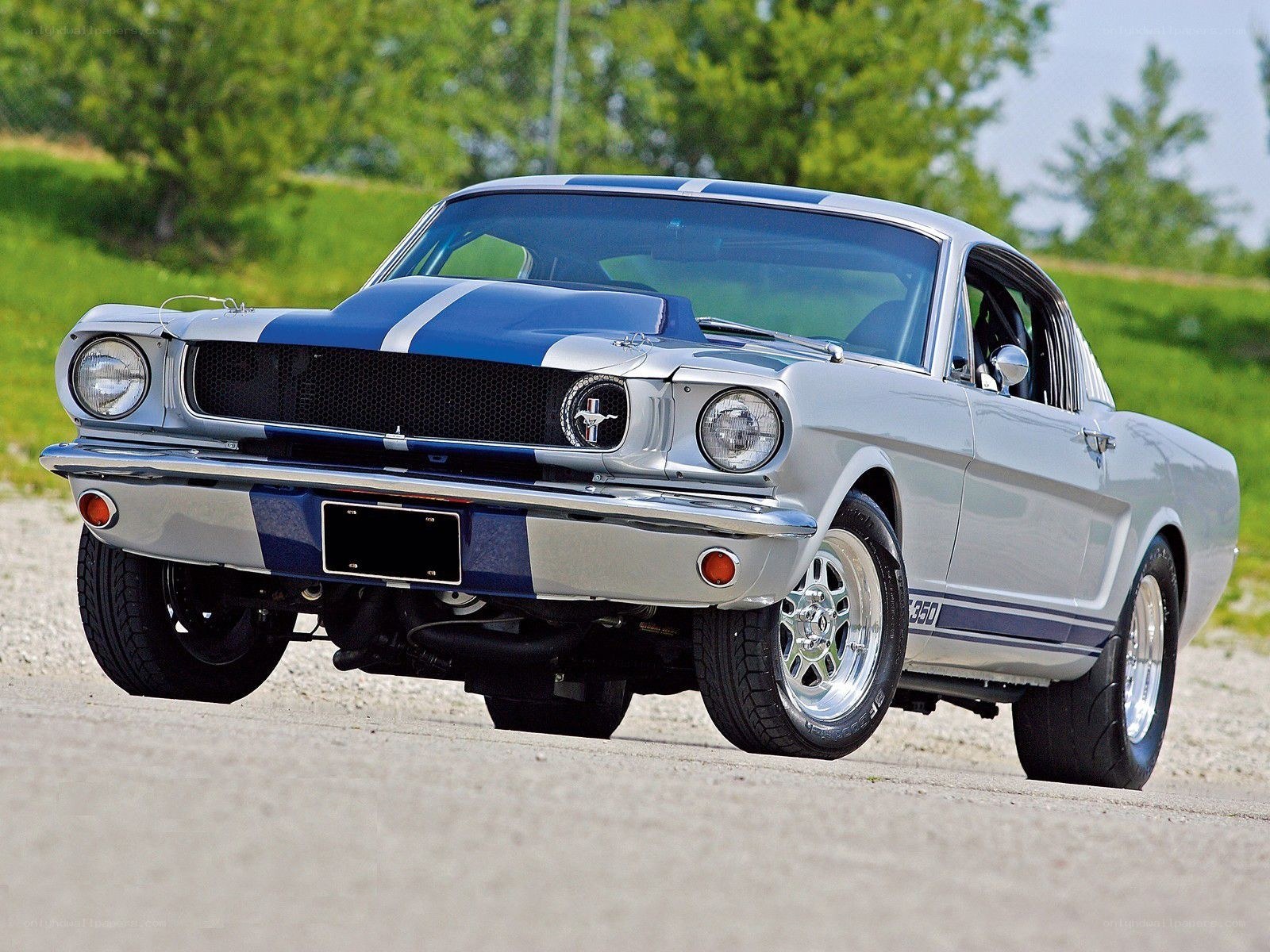 Classic silver Mustang with blue stripes