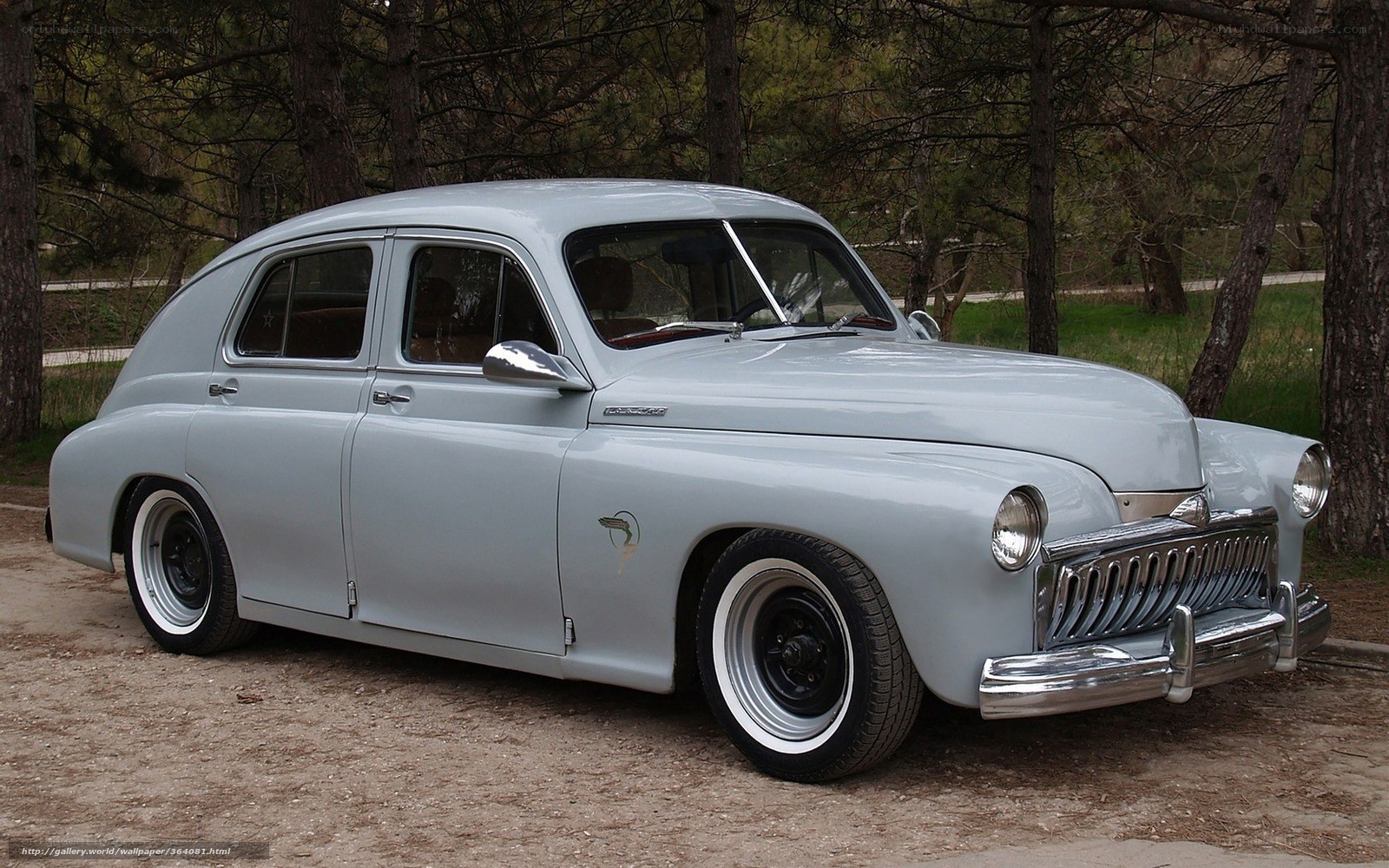 Classic silver sedan in forest