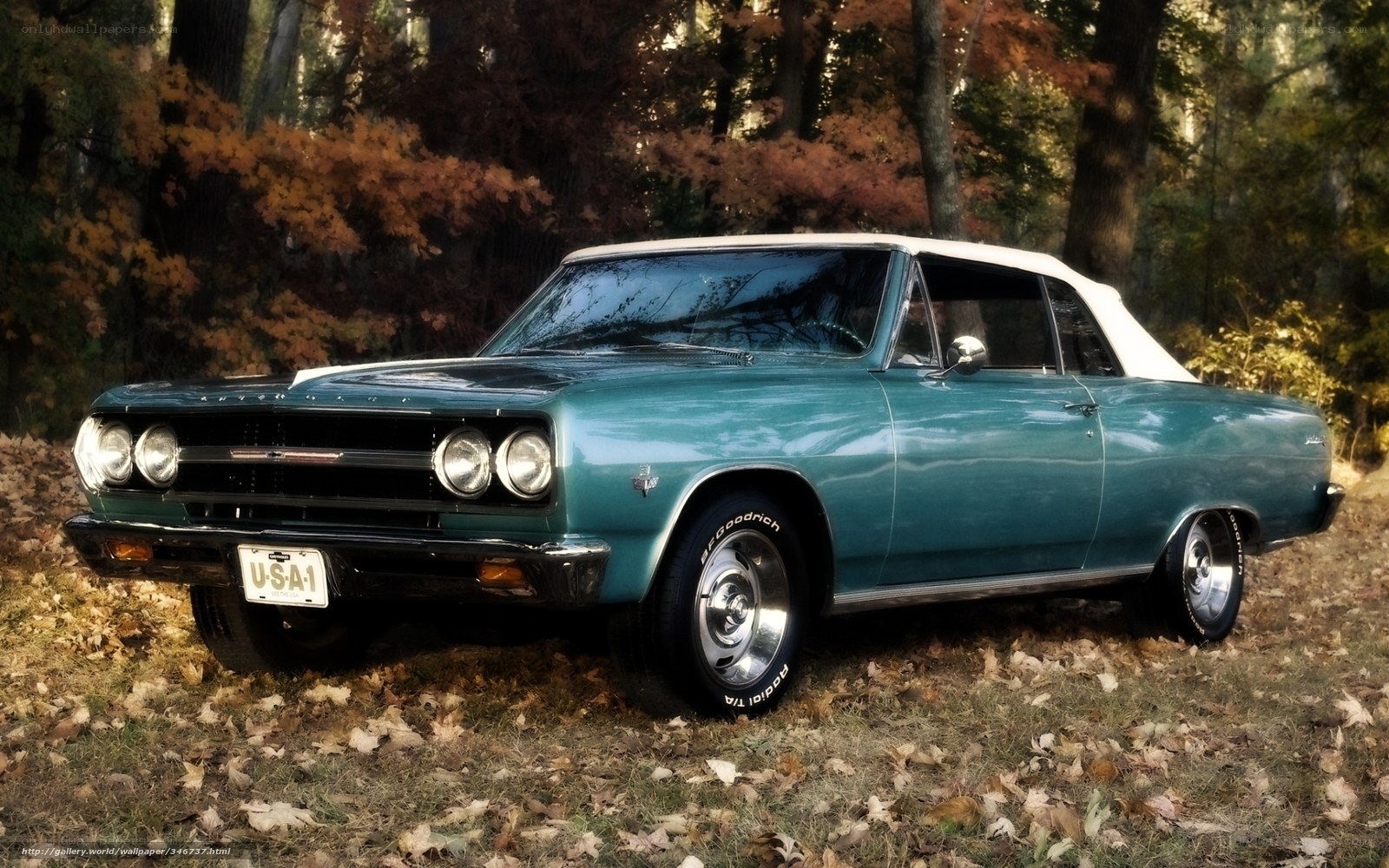 Classic teal convertible in autumn