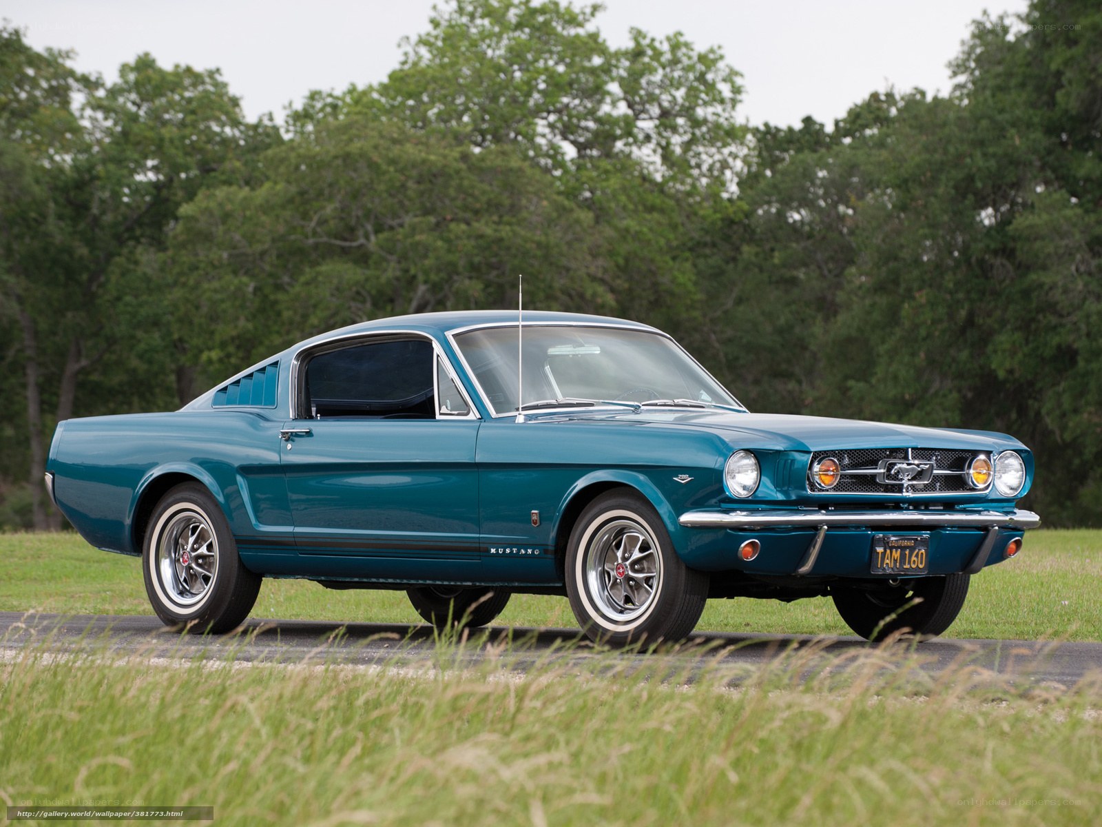 Classic teal Ford Mustang