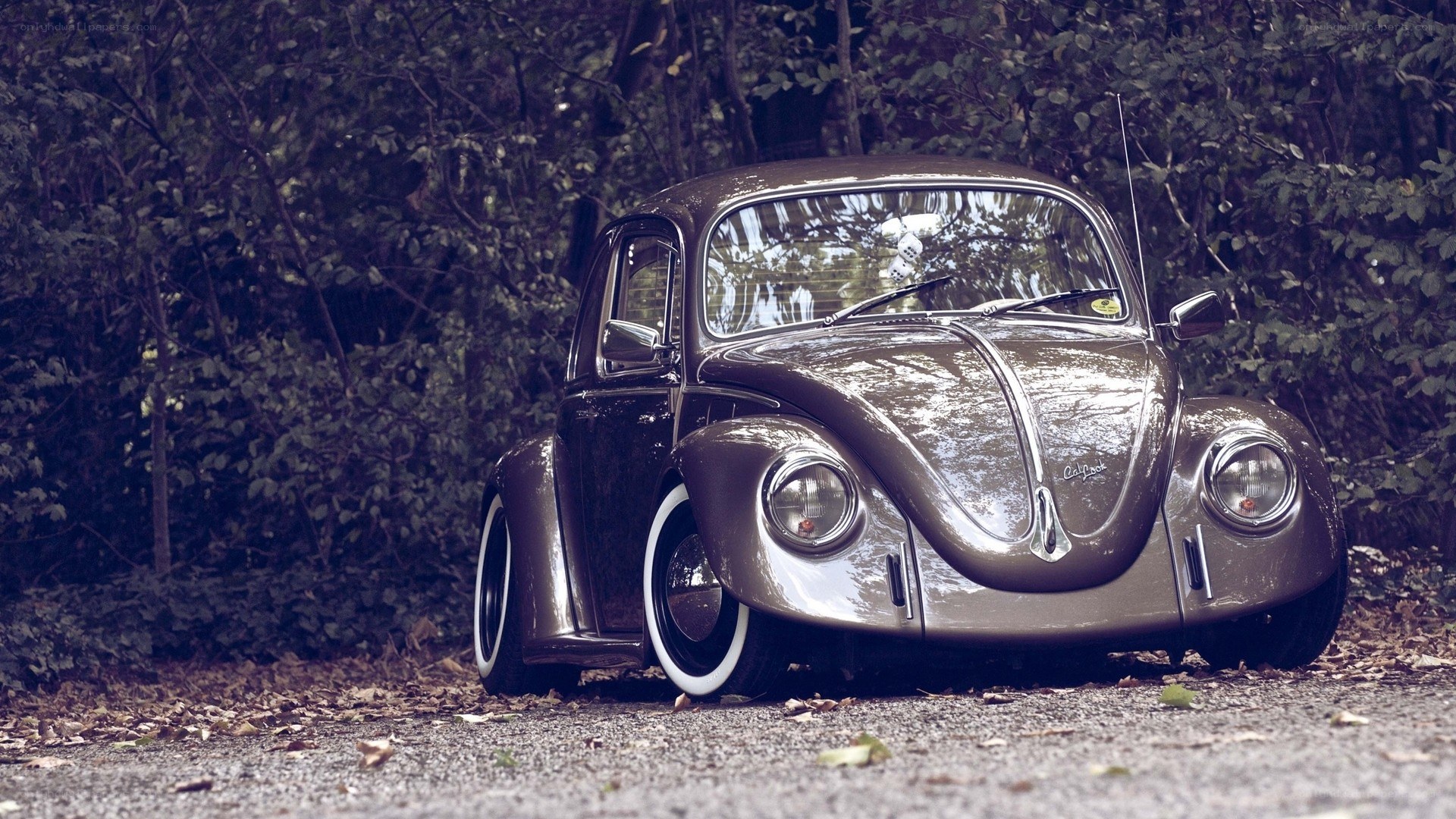 Classic Volkswagen Beetle car