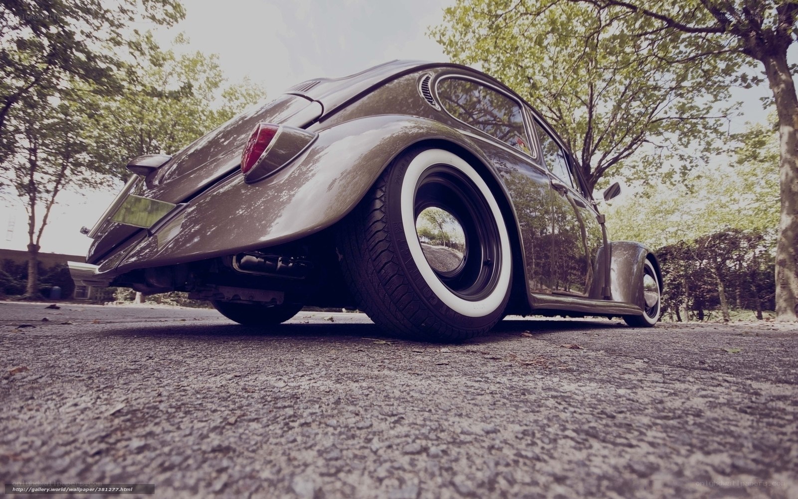 Classic Volkswagen Beetle car