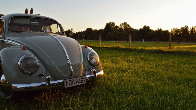 Classic Volkswagen Beetle — Green