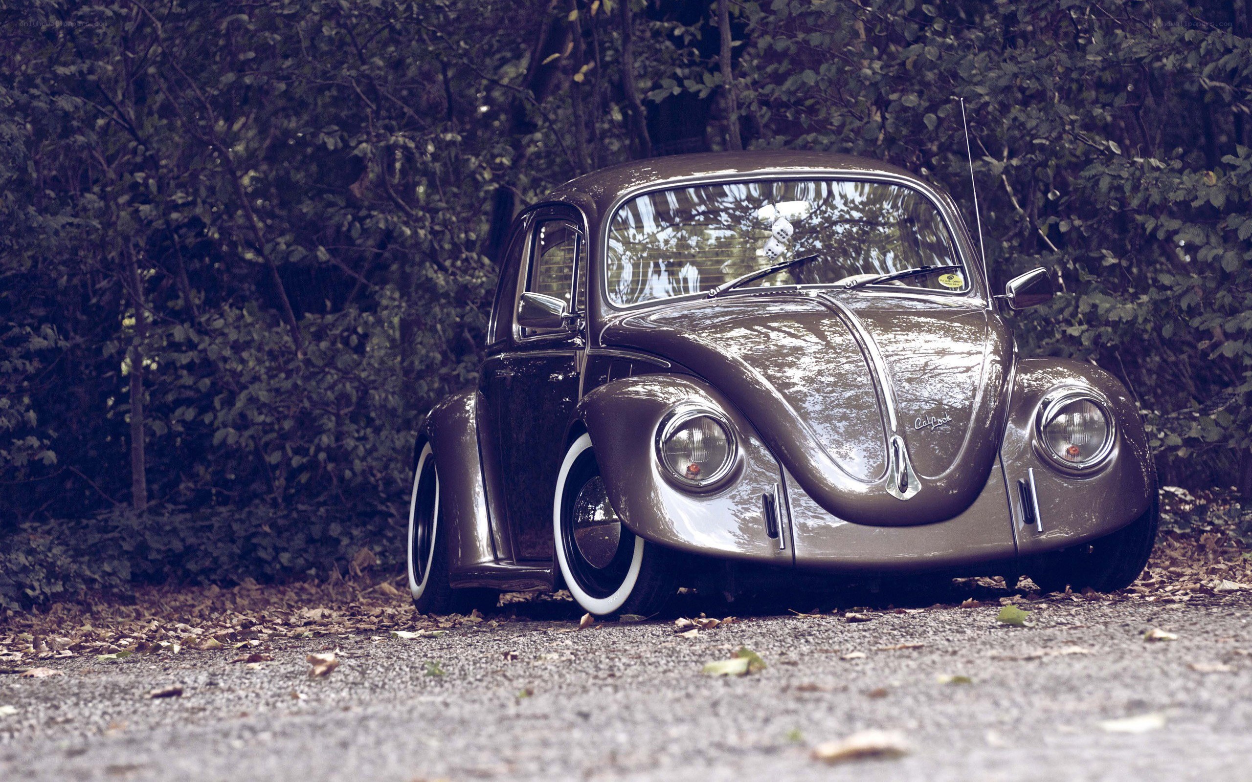 Classic Volkswagen Beetle in forest