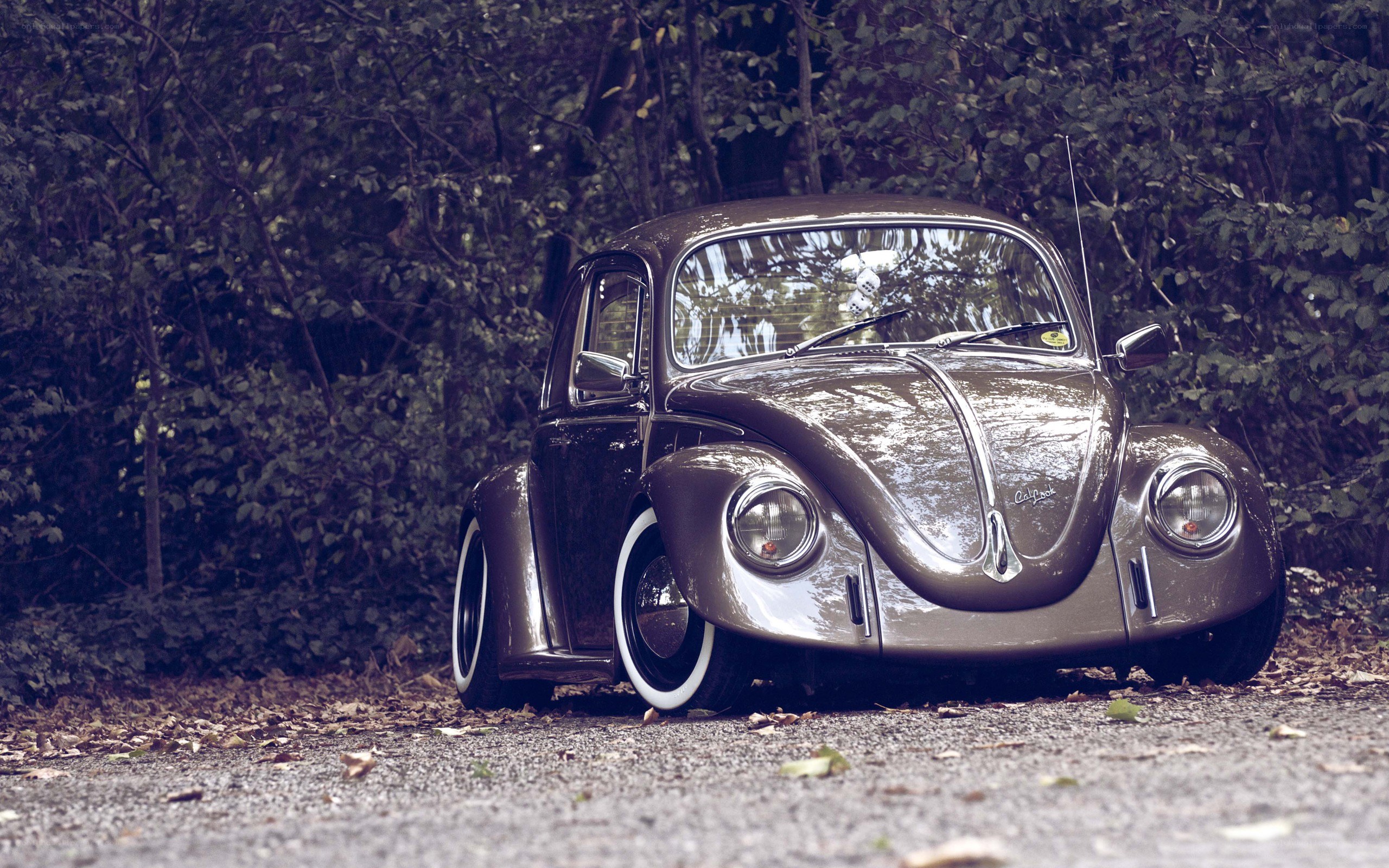 Classic Volkswagen Beetle in forest