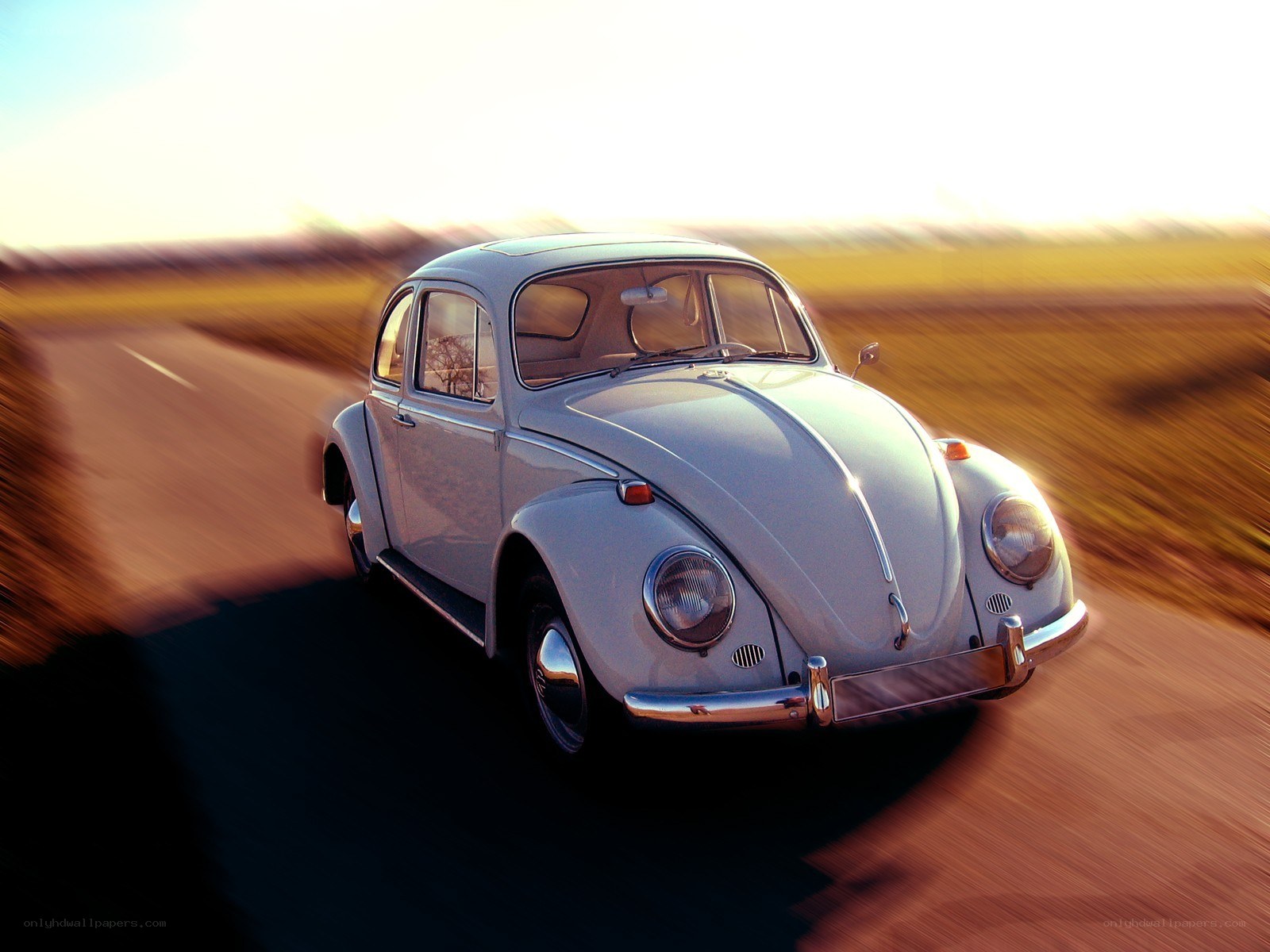 Classic Volkswagen Beetle in motion