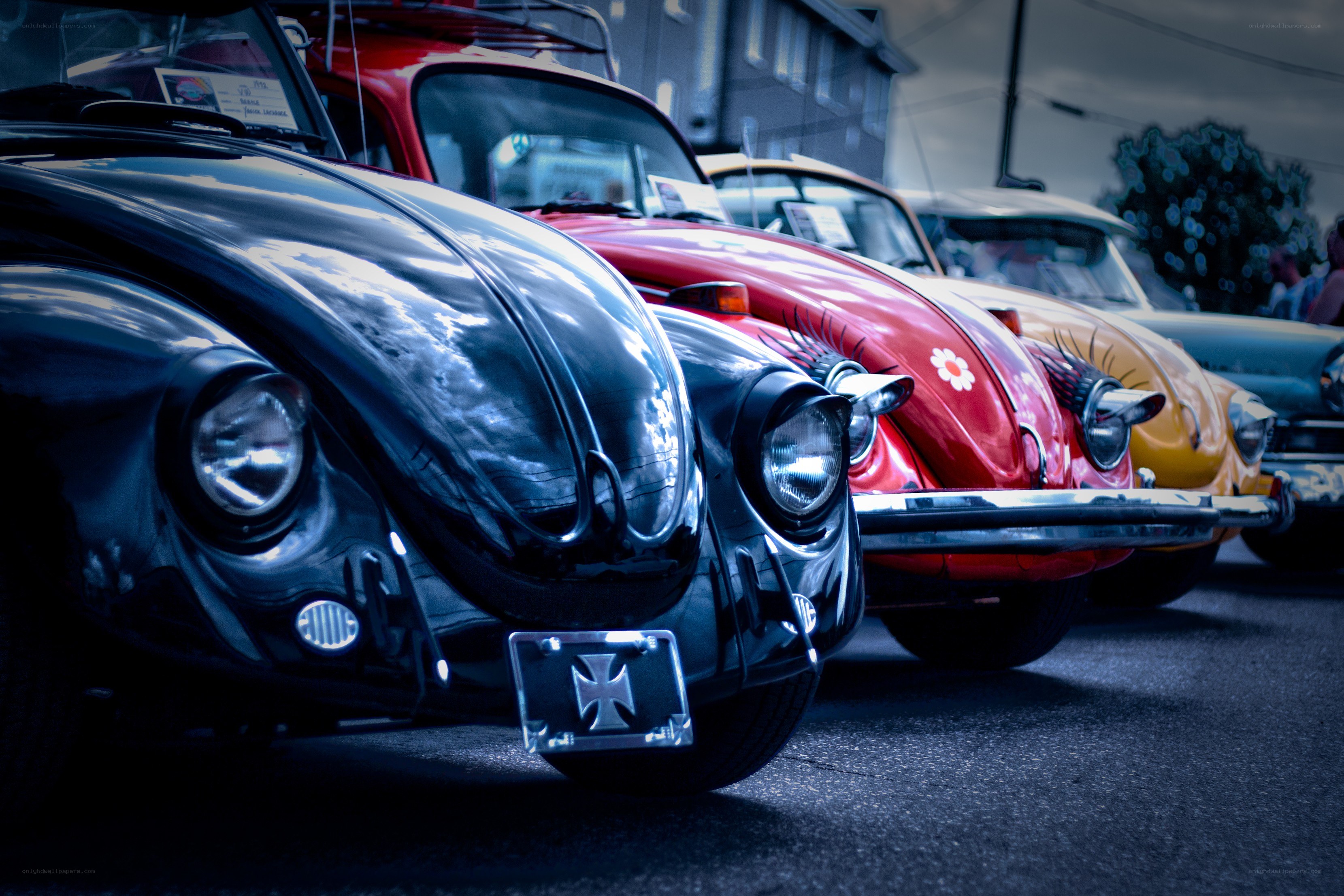 Classic Volkswagen Beetle lineup