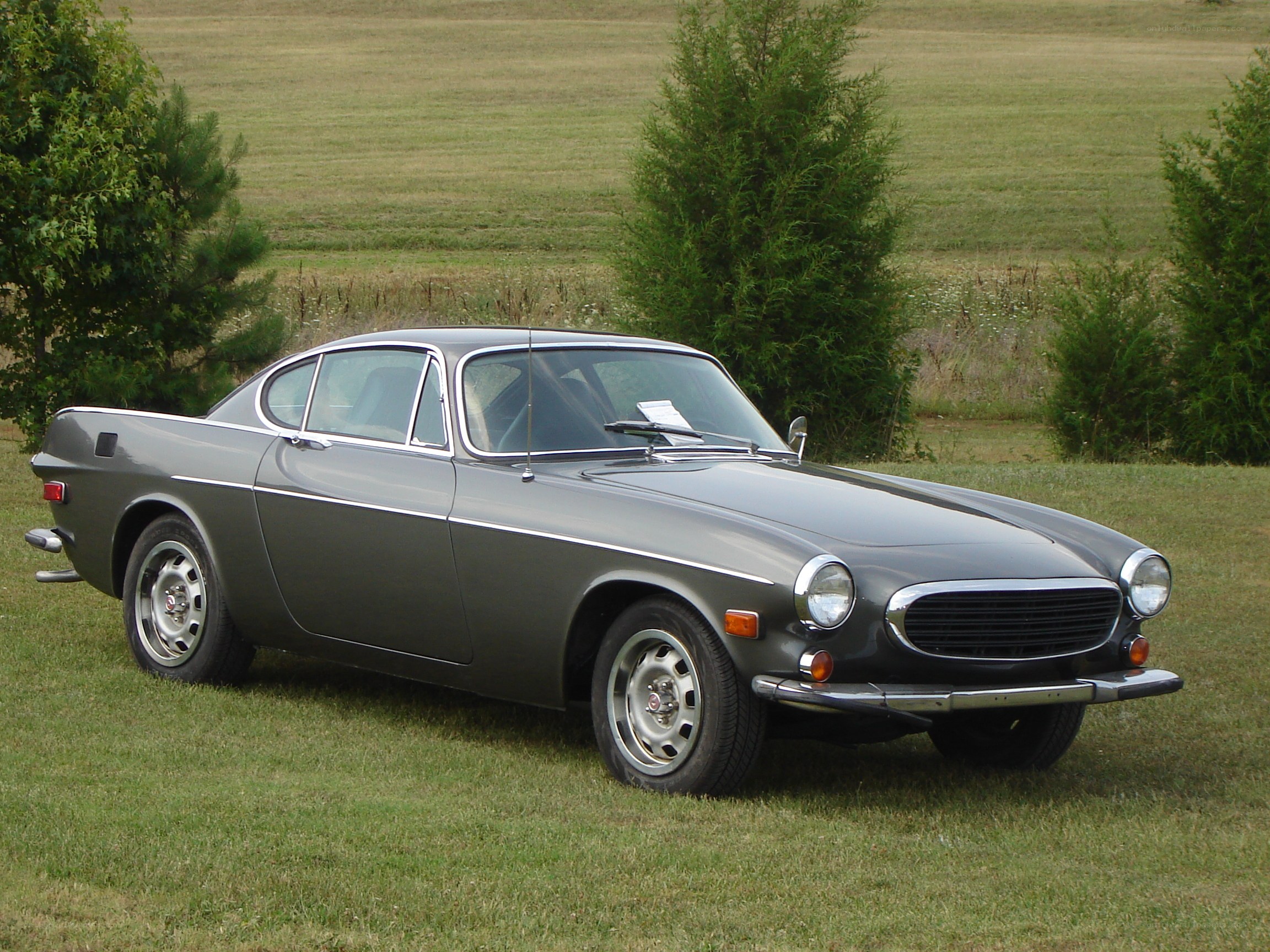 Classic Volvo coupe on grass