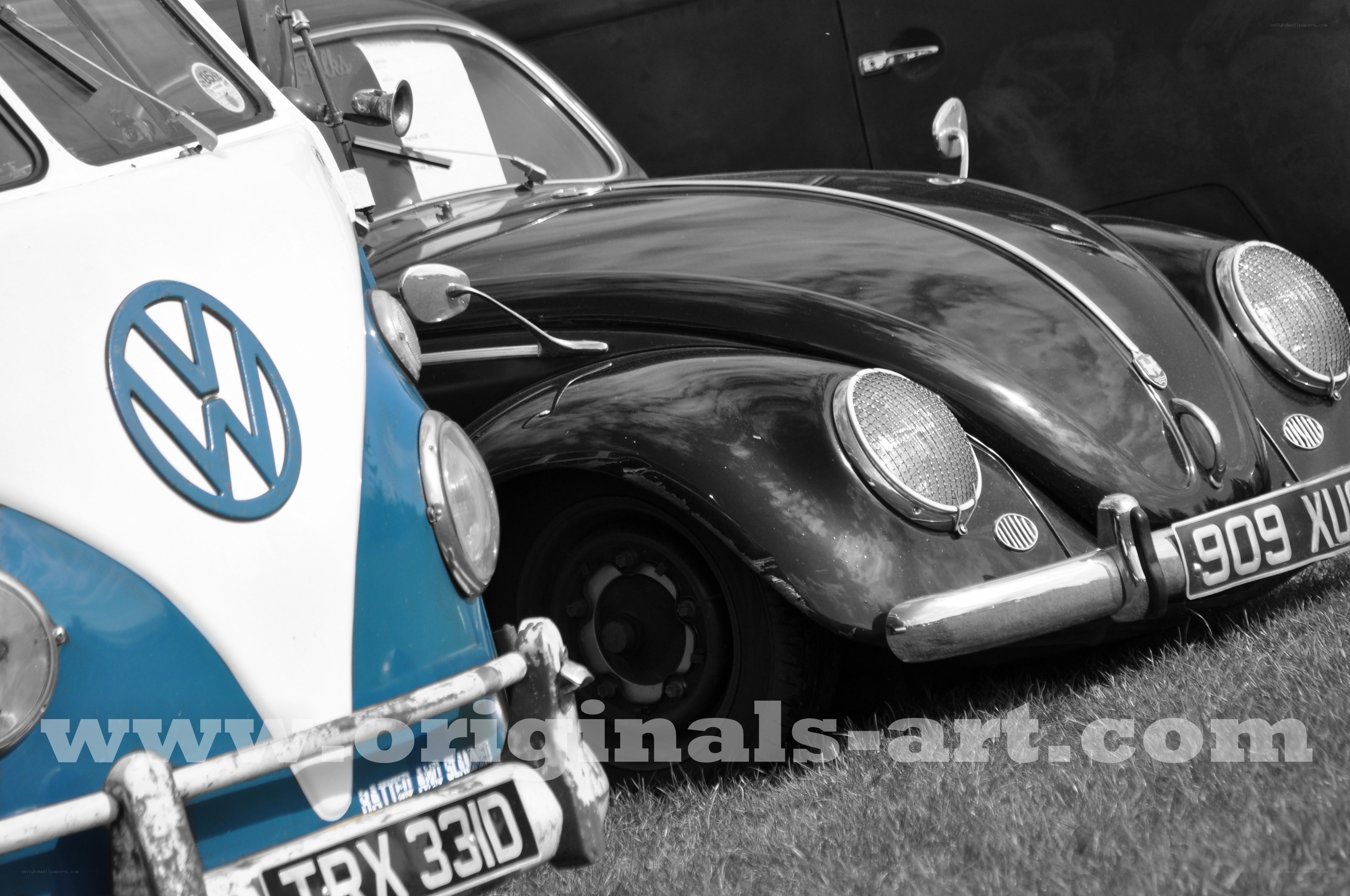 Classic VW Beetles at a Show