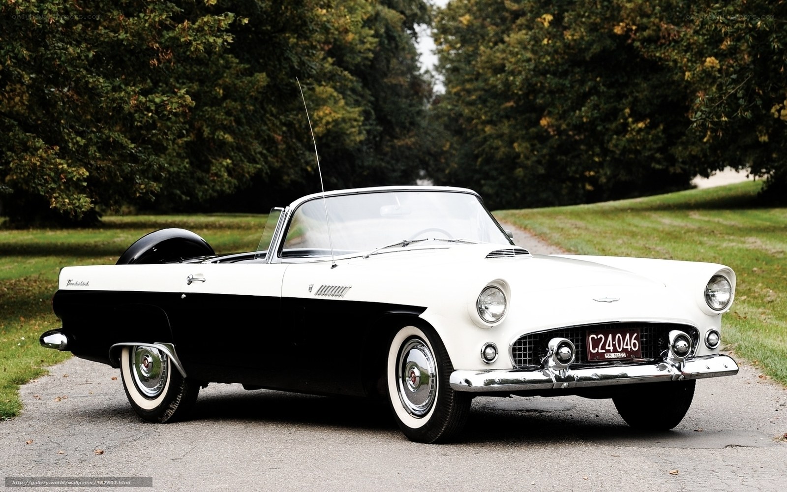 Classic white and black convertible