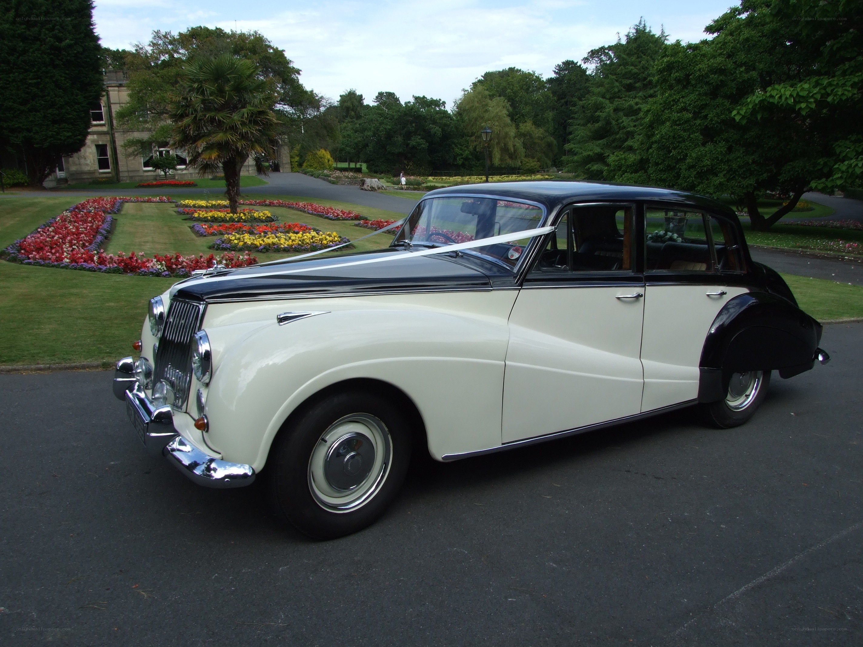 Classic white and black wedding car