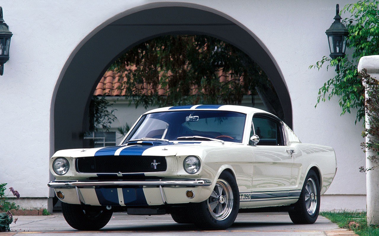 Classic white and blue Mustang