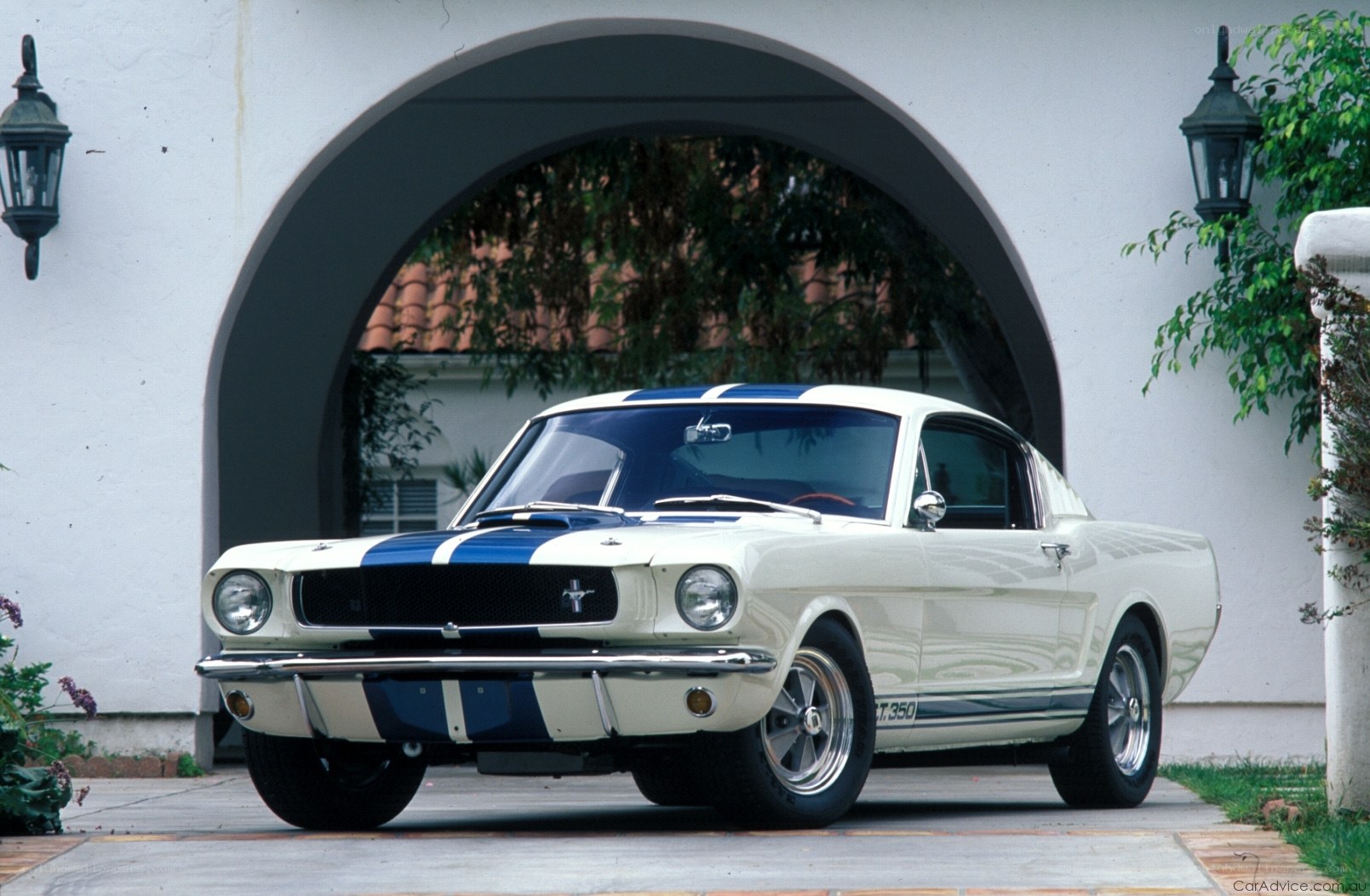 Classic white and blue Mustang