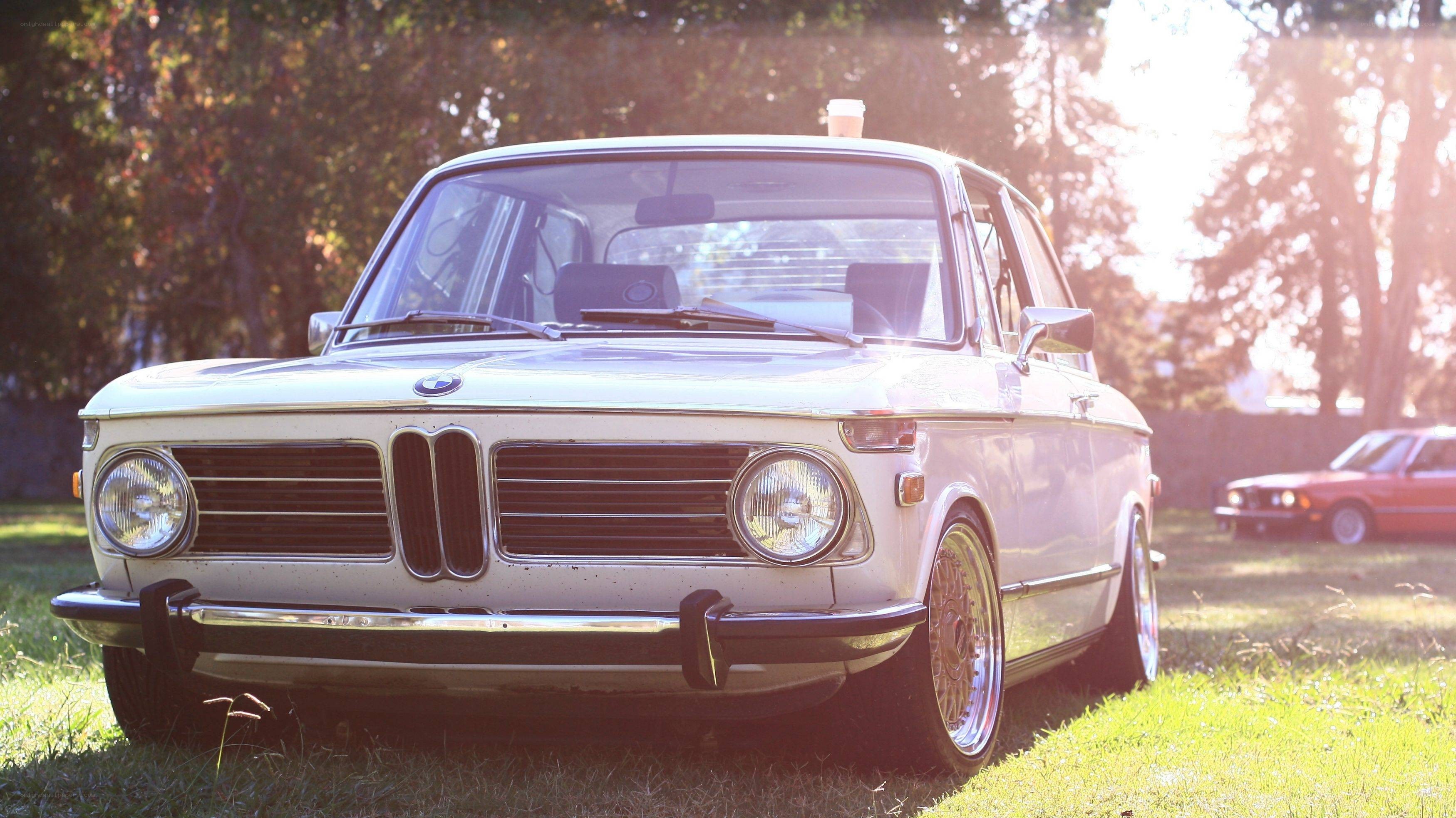 Classic white BMW on grass