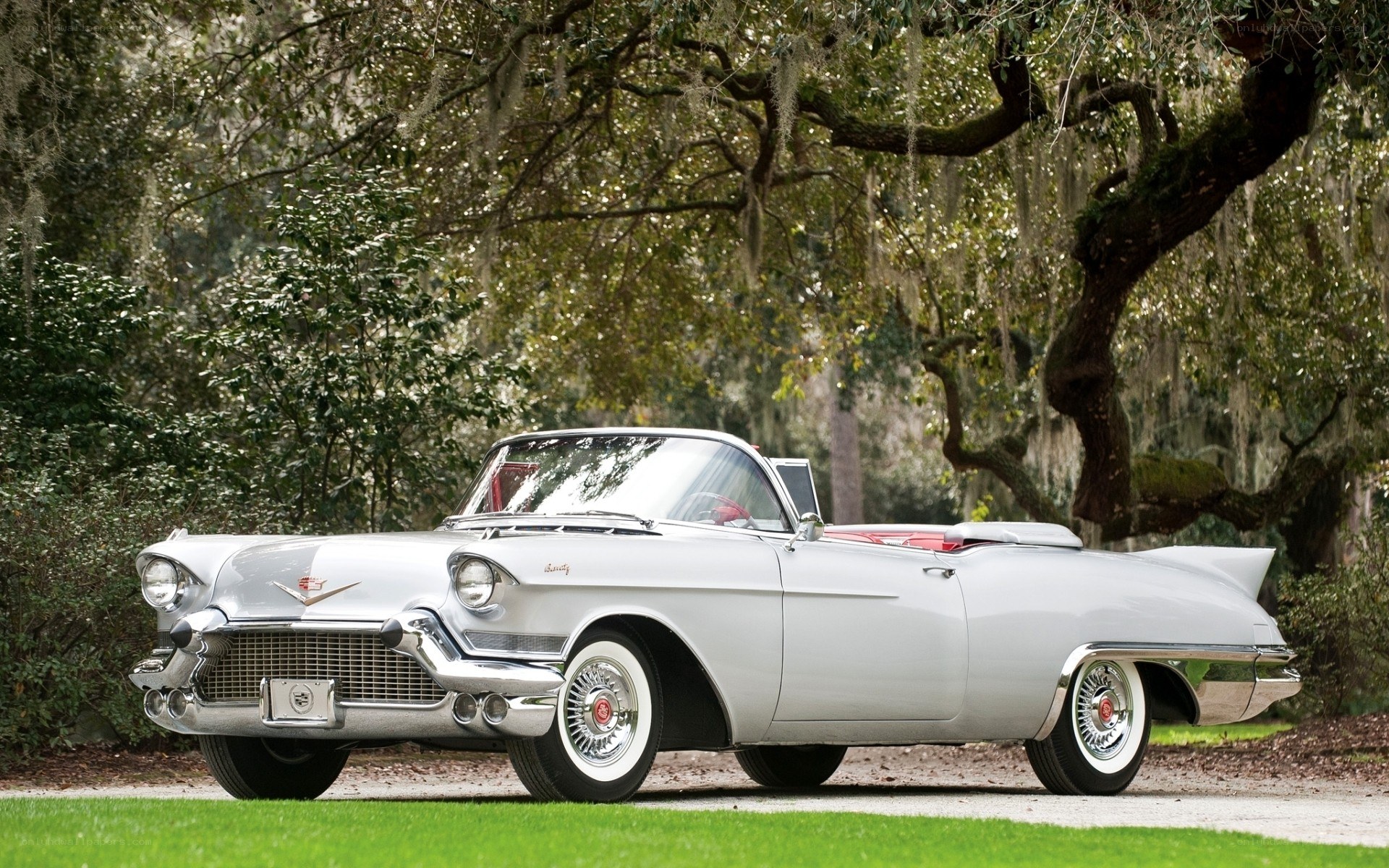 Classic white Cadillac convertible