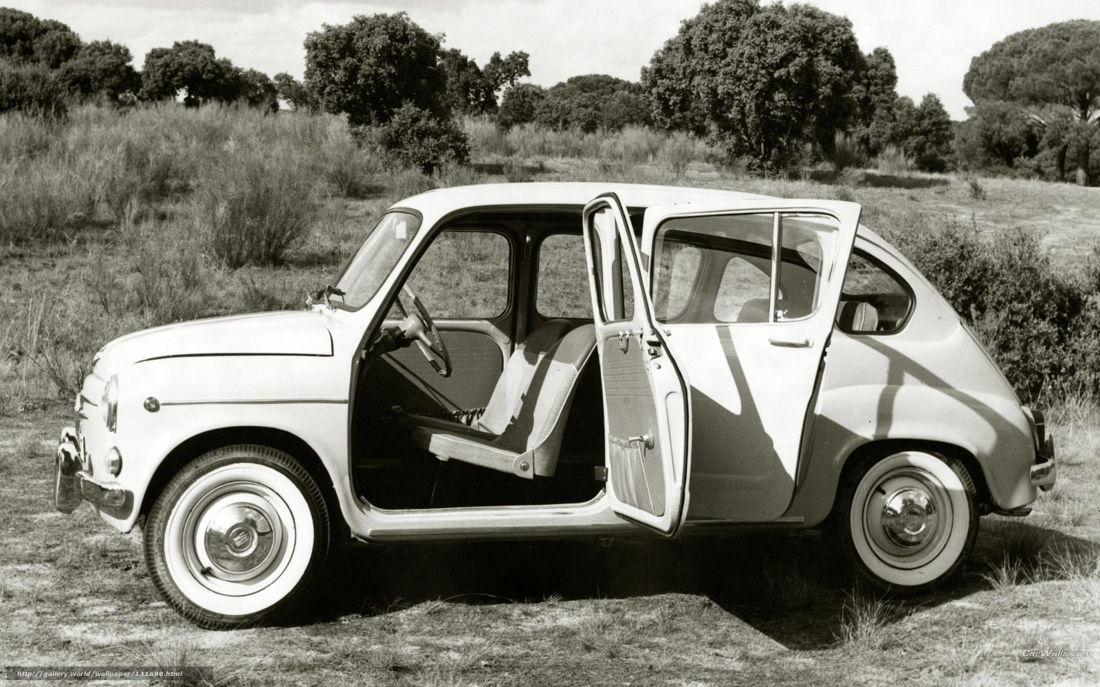 Classic white car in field