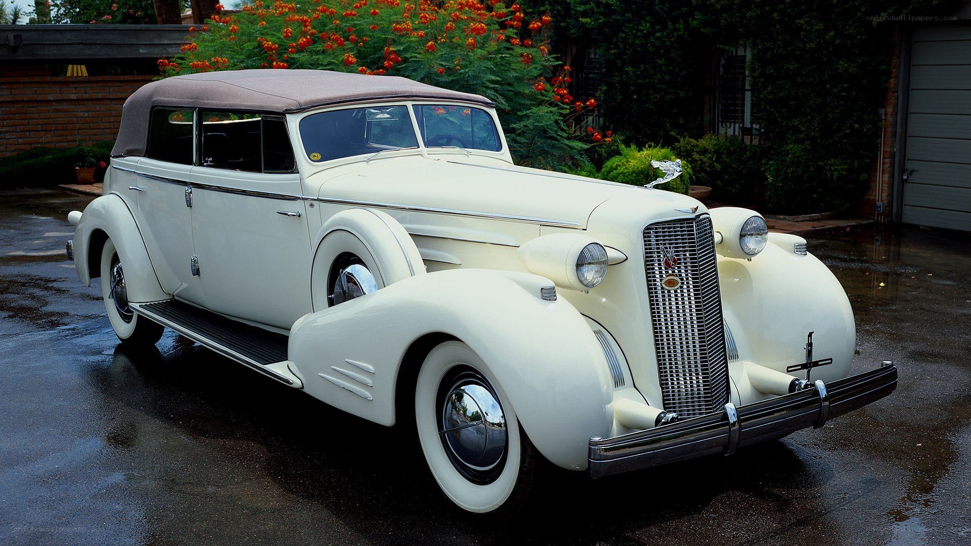 Classic white convertible car