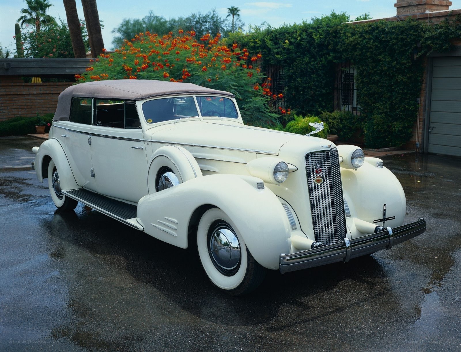 Classic white convertible car