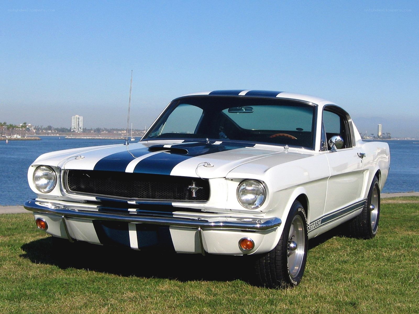Classic white Ford Mustang