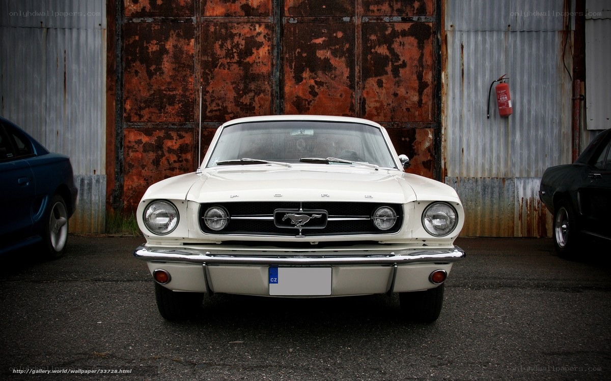 Classic white Ford Mustang