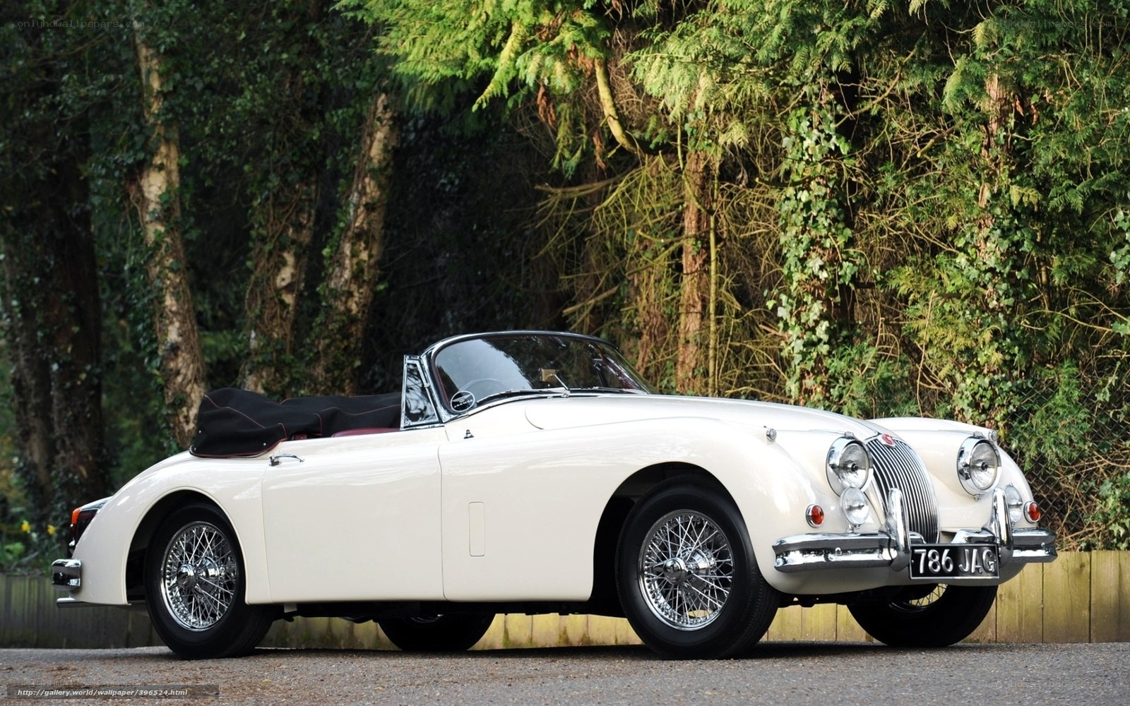 Classic white Jaguar convertible