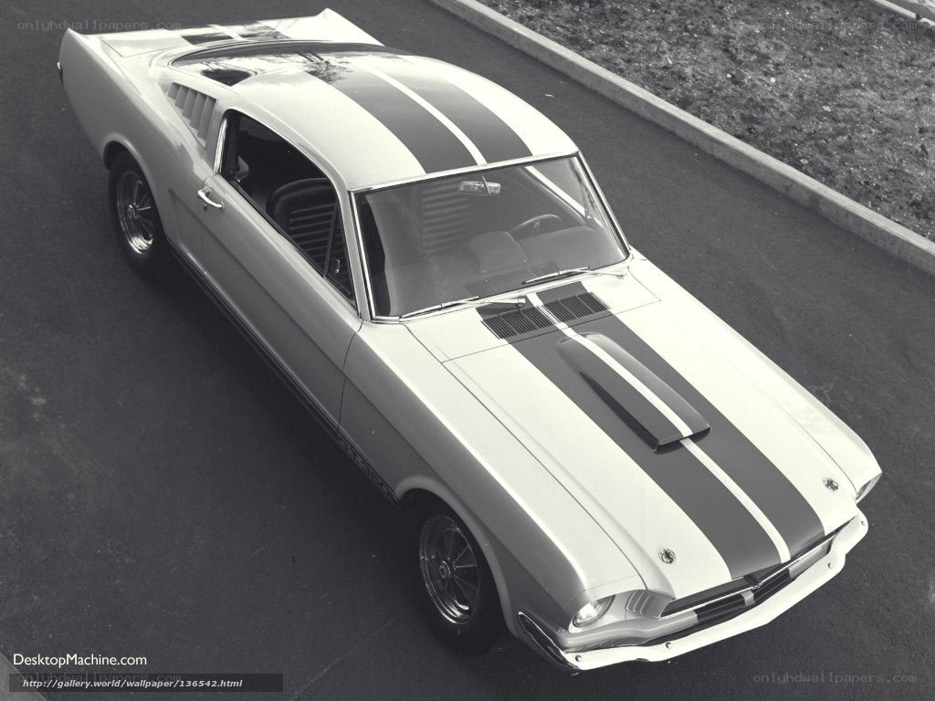 classic white muscle car