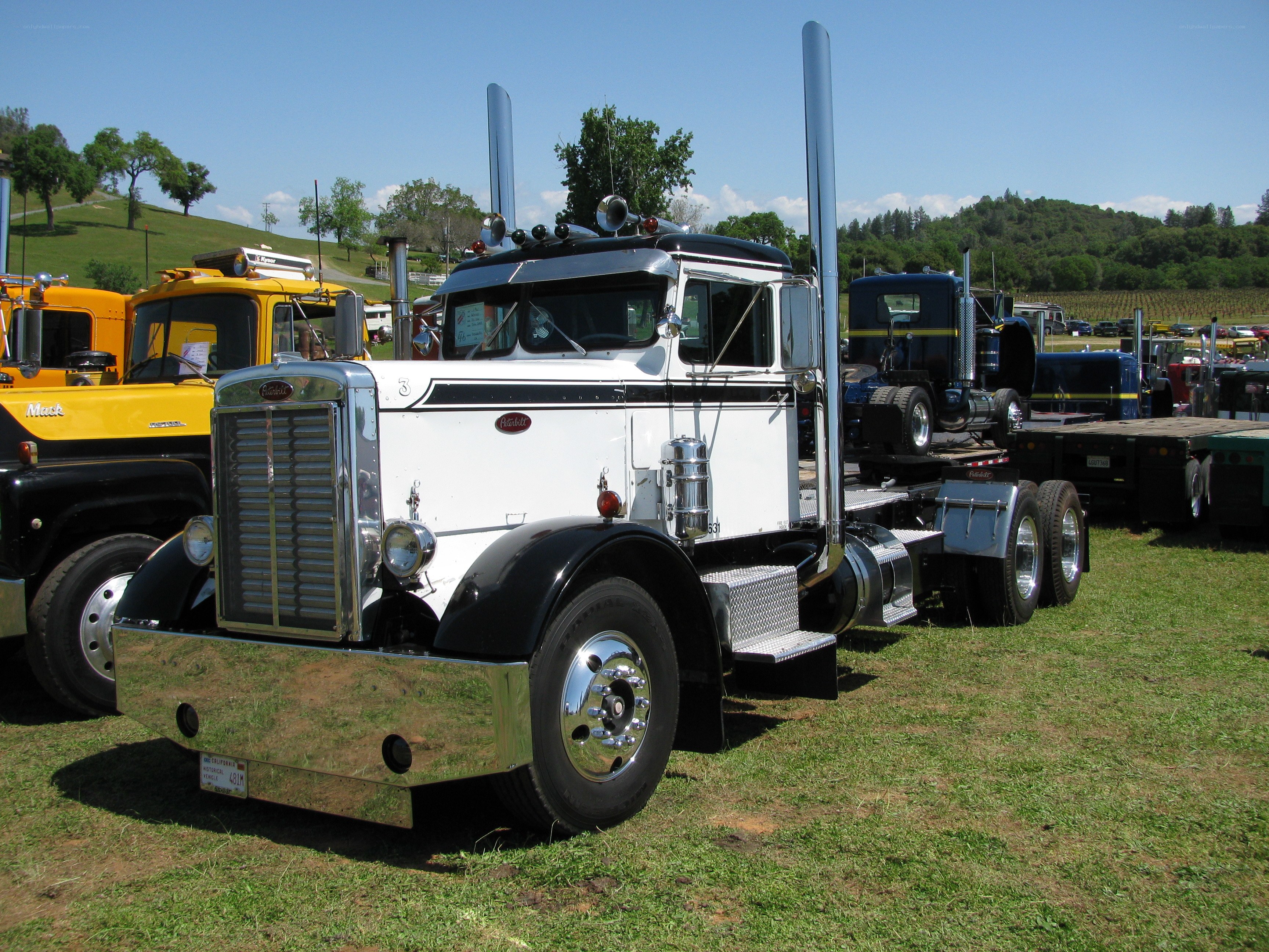 Classic white Peterbilt truck