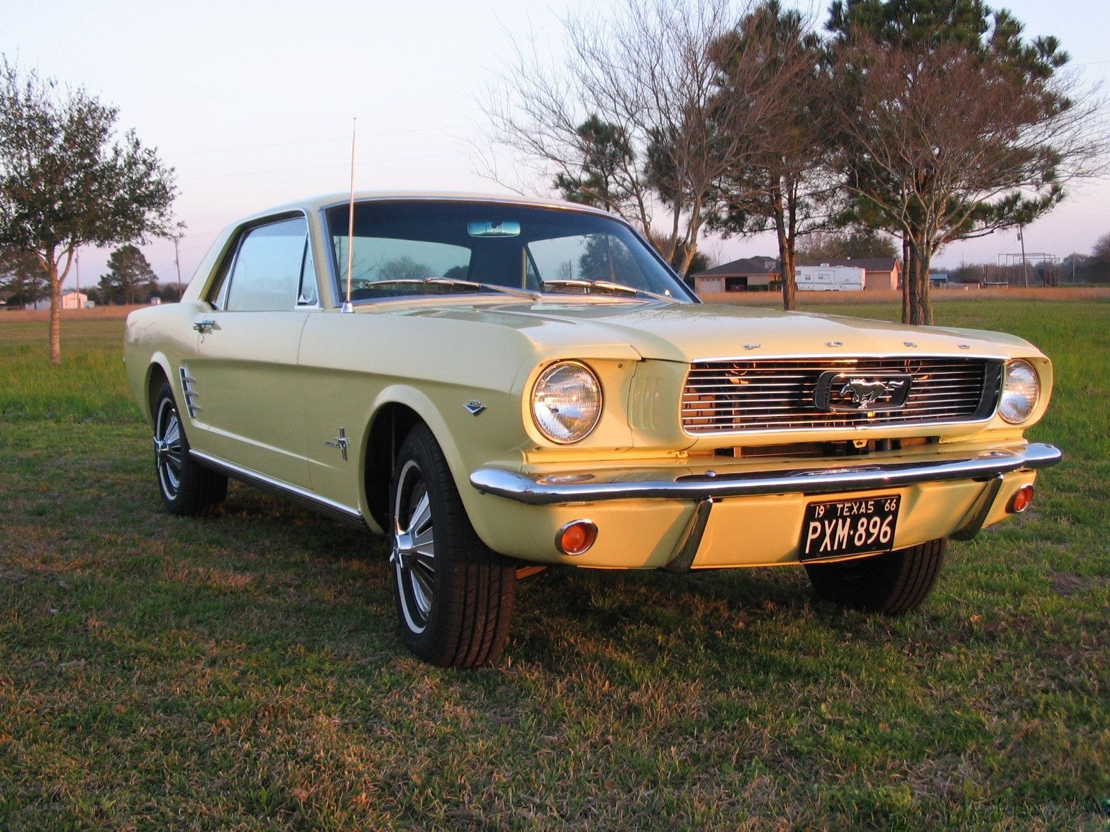 Classic yellow Ford Mustang