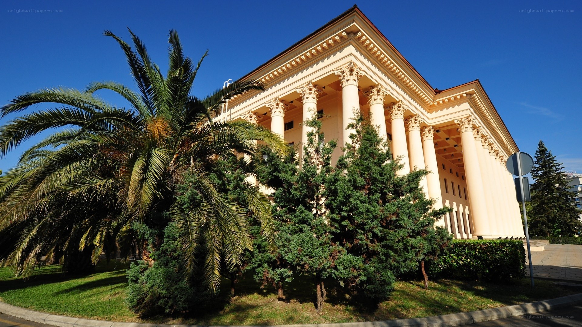 classical building with palm trees